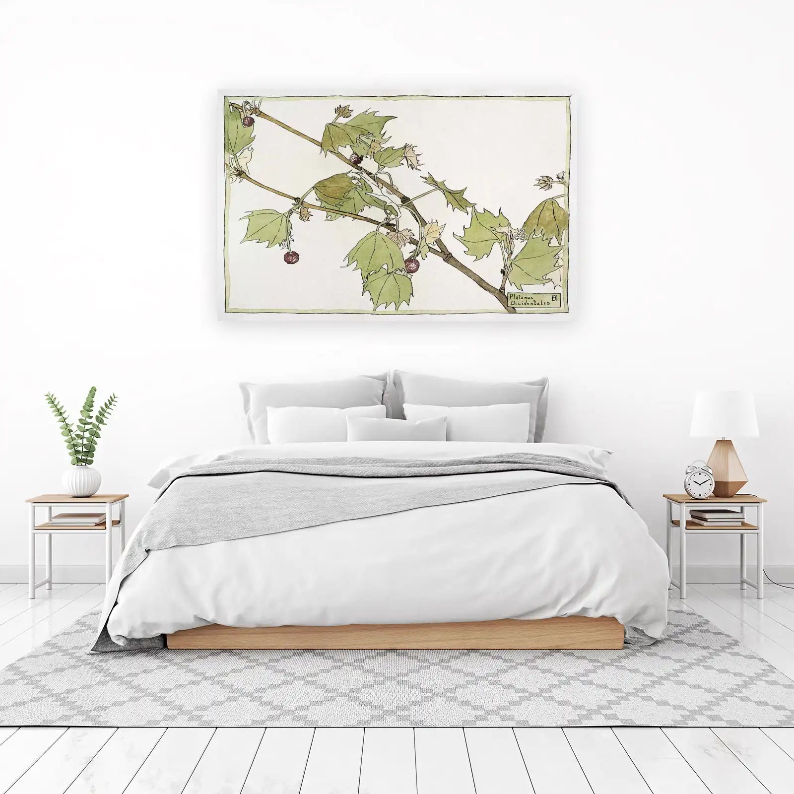 Platanus Occidentalis Botanical Art Wall Art