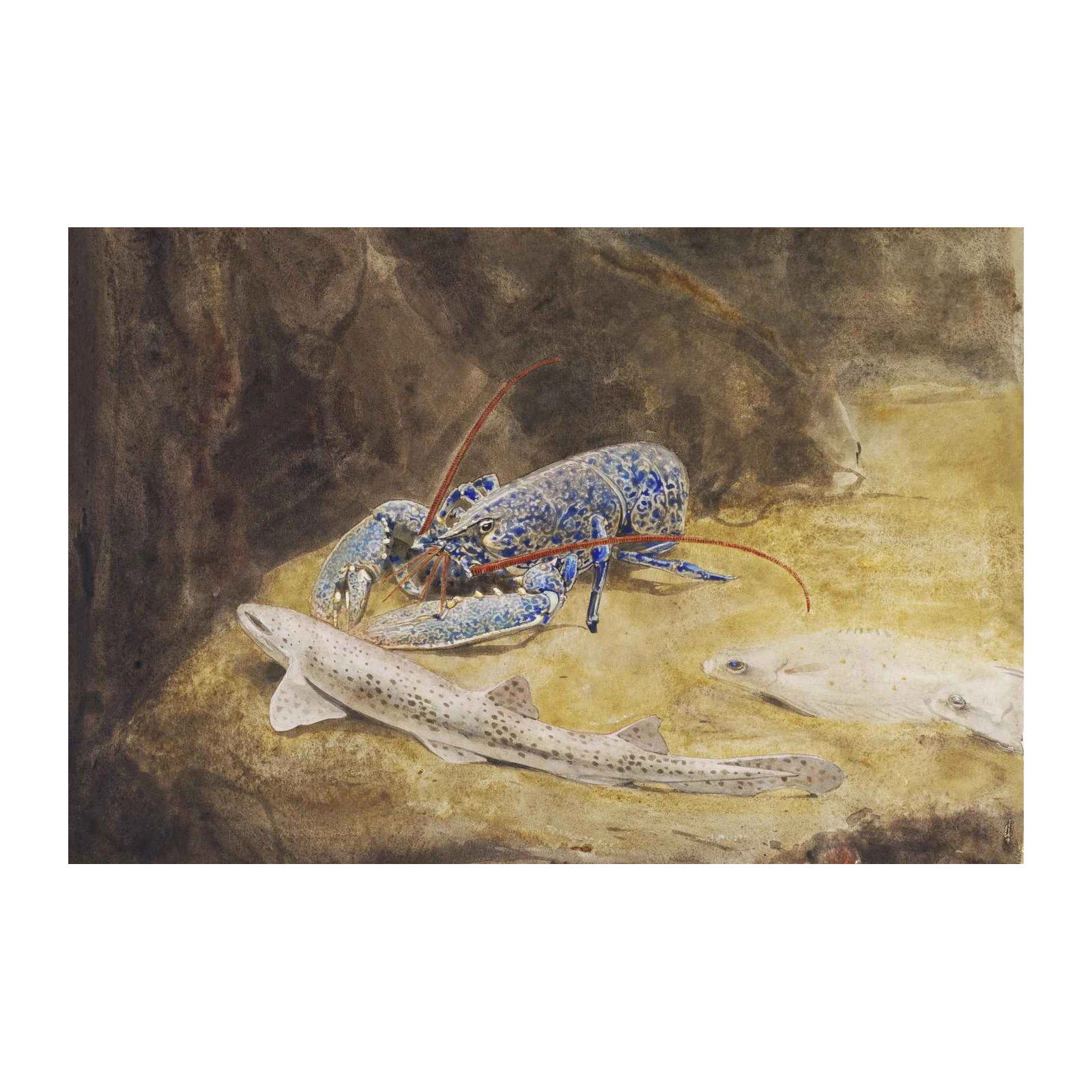 Vibrant Lobster & Fish Underwater Scene Wall Art