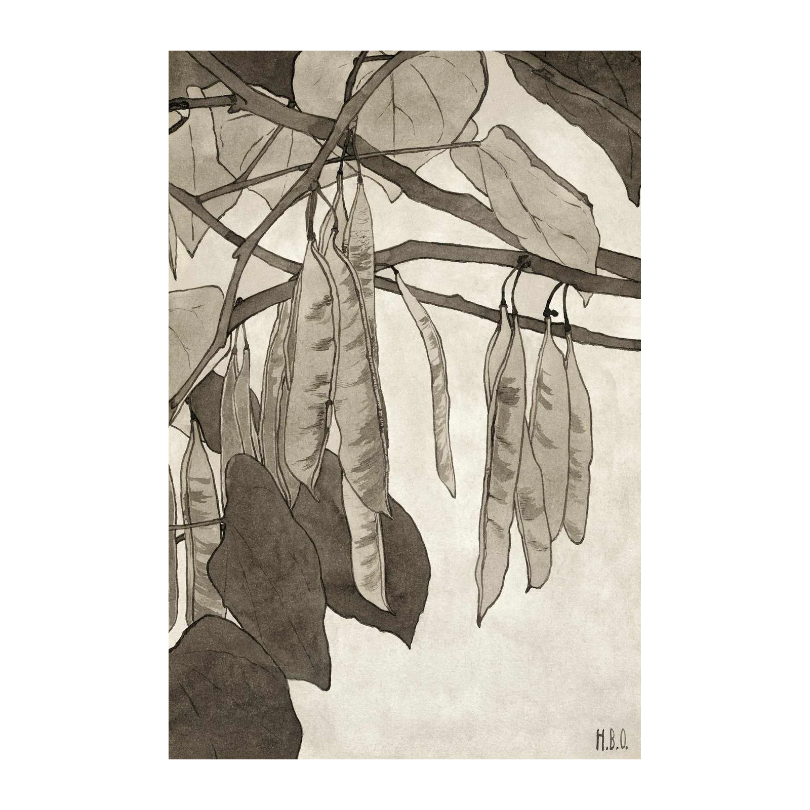 Botanical Elegance Sepia Hanging Pods Wall Art