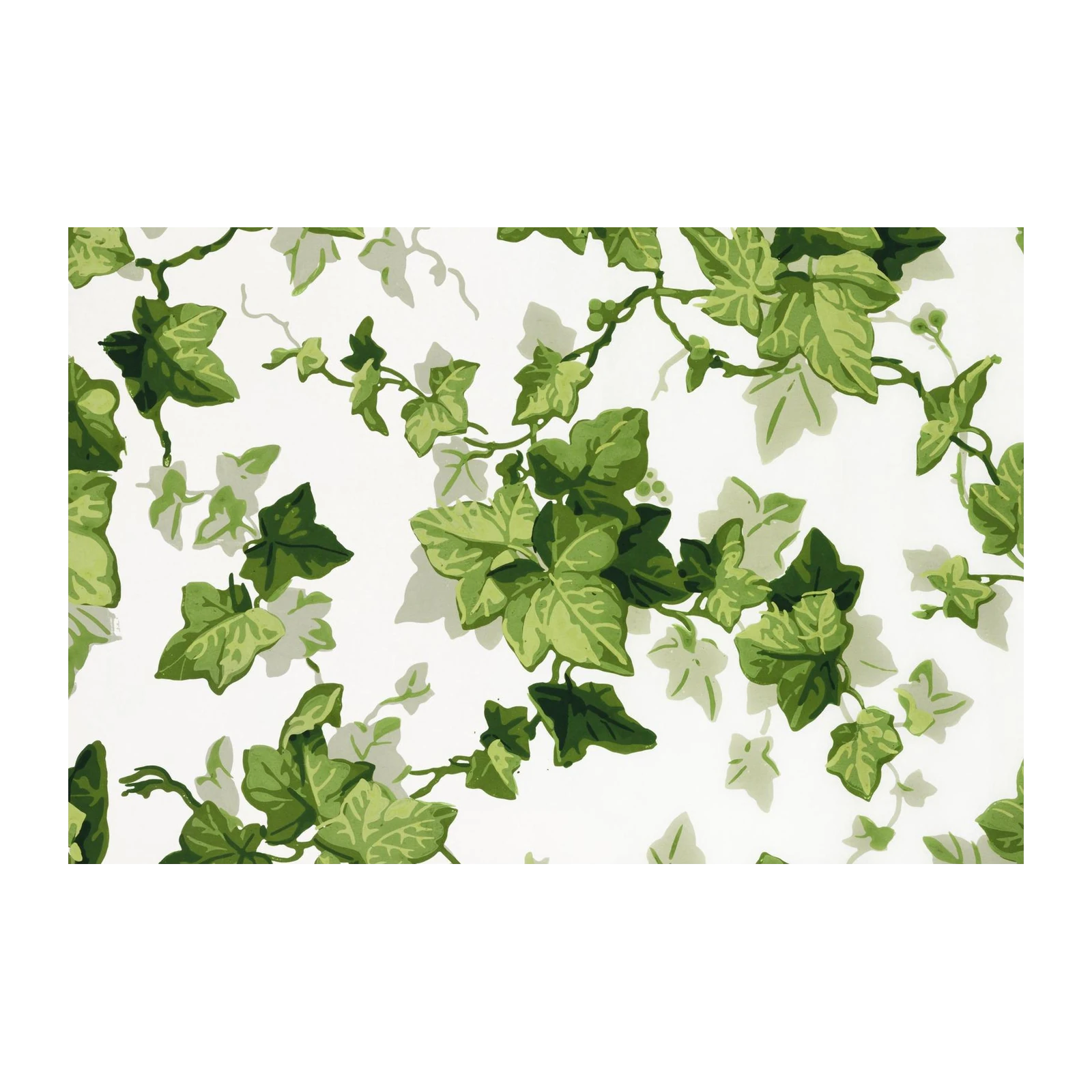 Vintage Ivy Botanical Wall Art