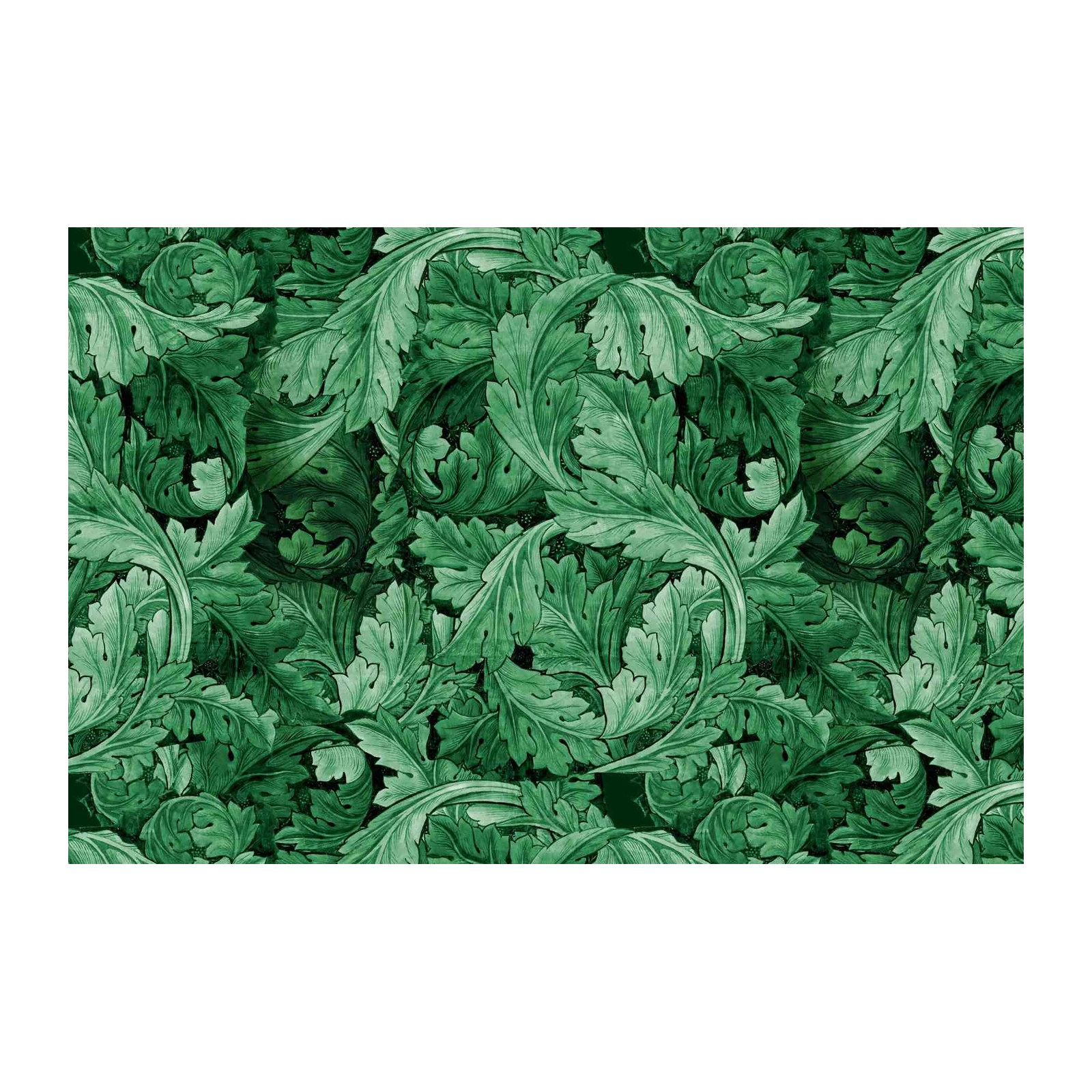 Emerald Leaf Vintage Botanical Wall Art