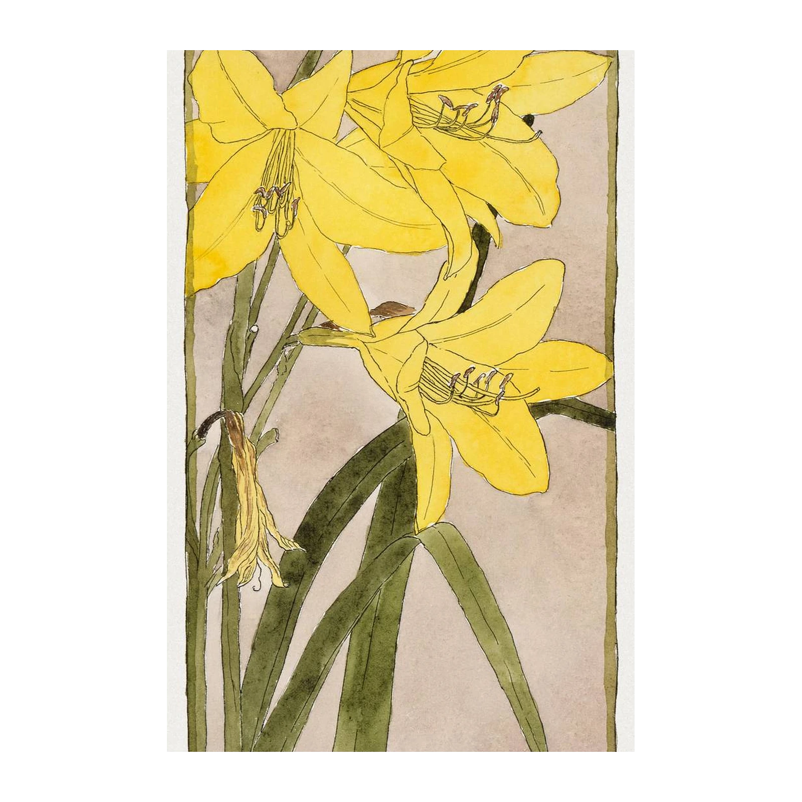 Vibrant Yellow Lily Botanical Art Wall Art