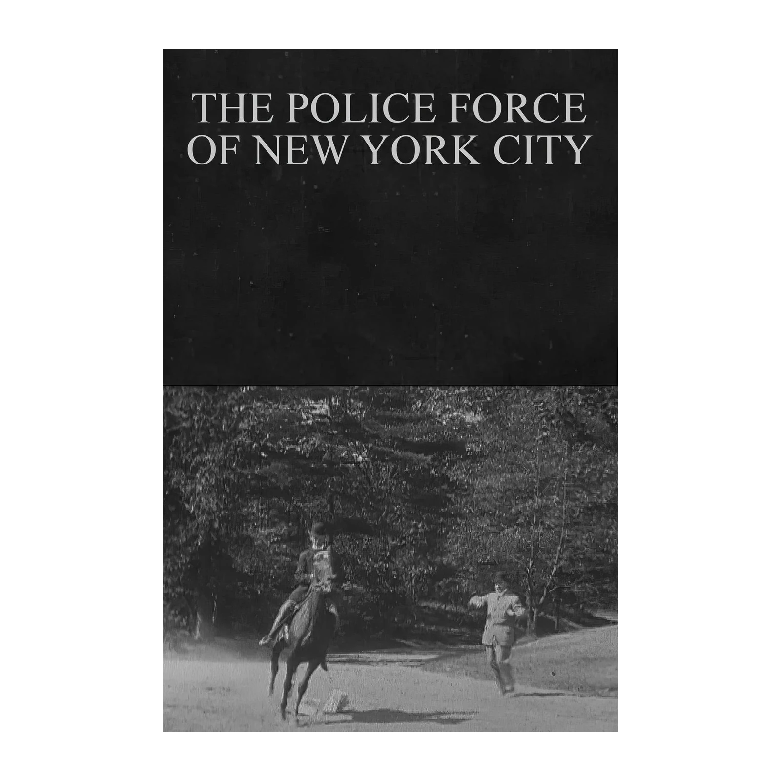 Vintage NYC Police Horseback Patrol Wall Art