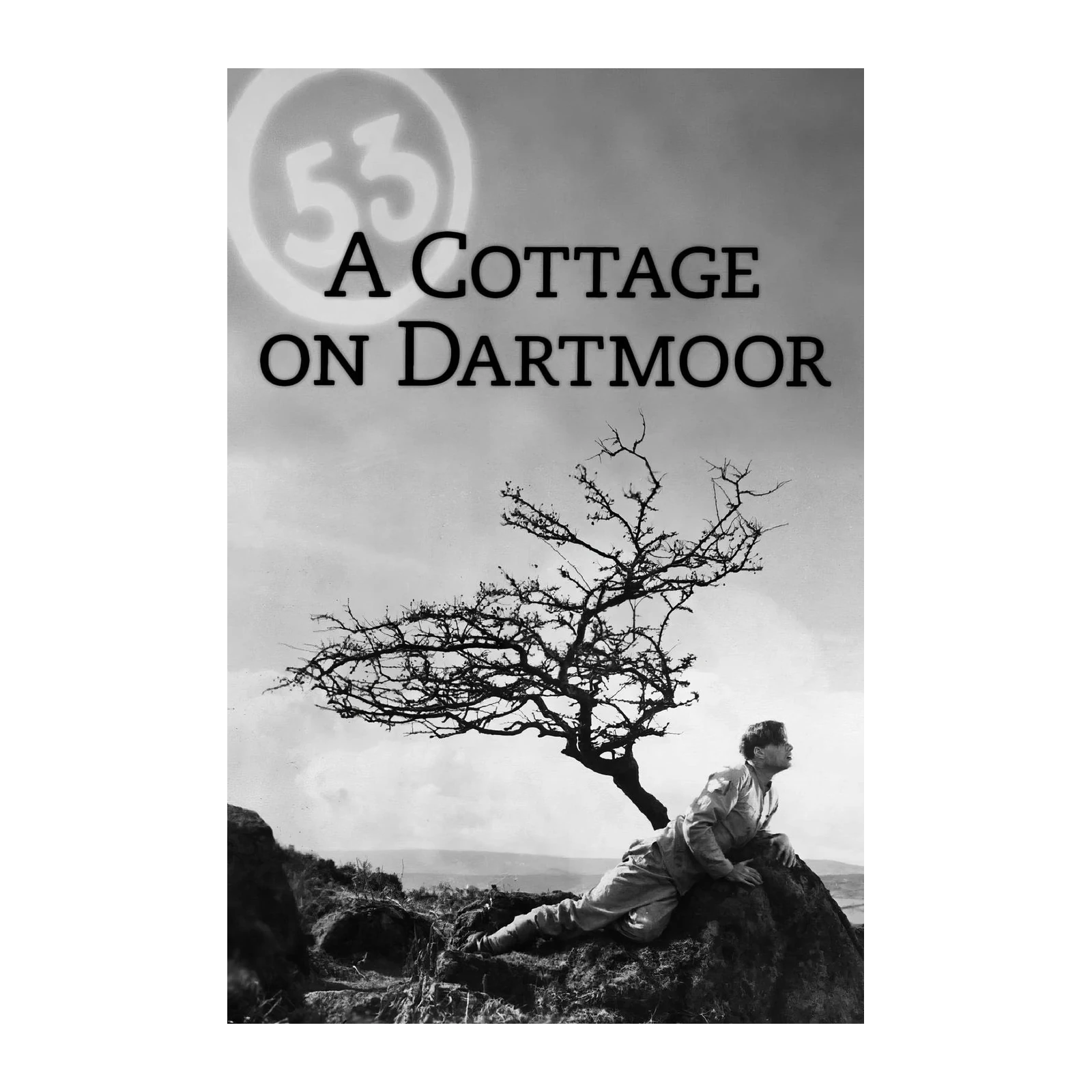 Vintage 'A Cottage on Dartmoor' Film Poster Wall Art