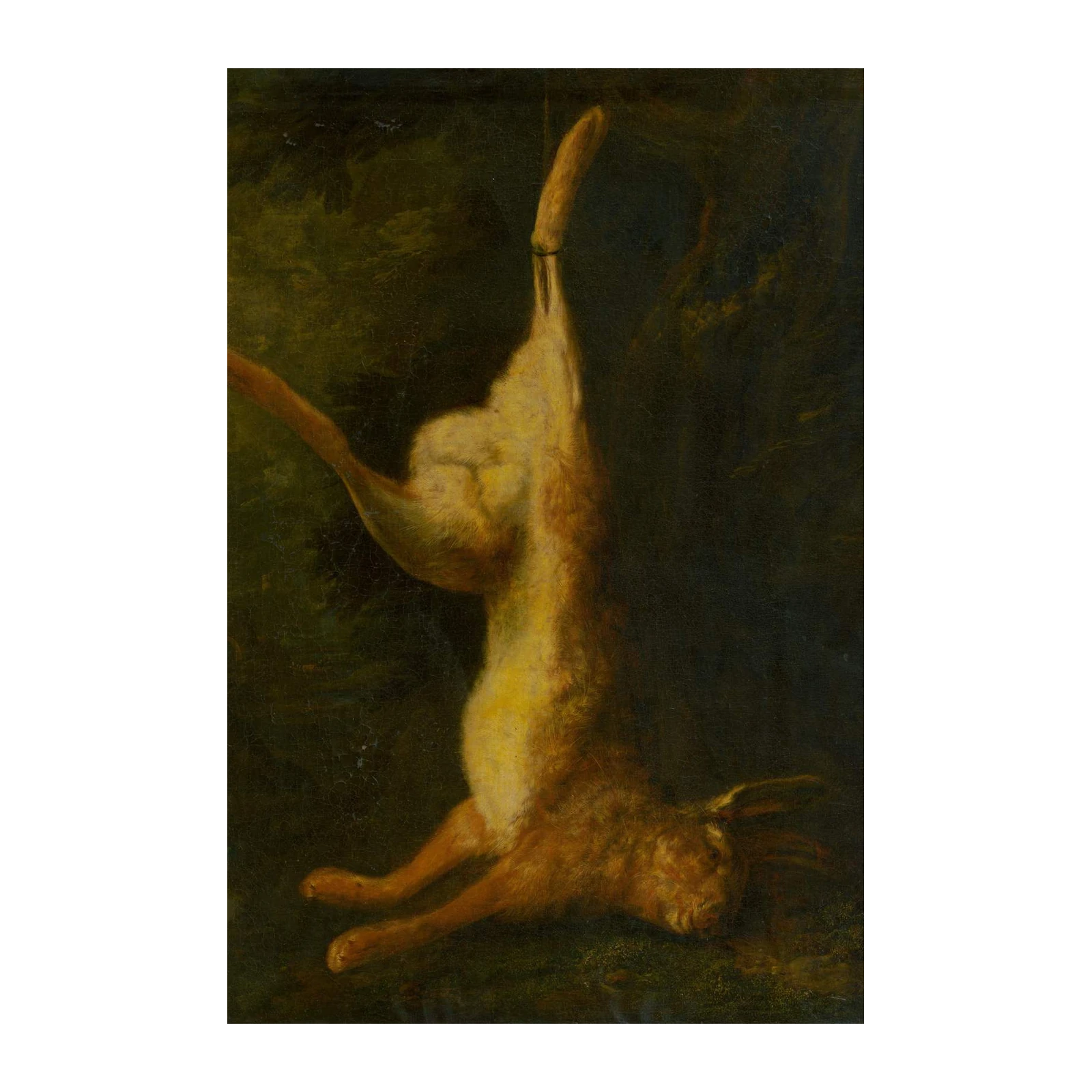 Vibrant Hare Still Life Wall Art