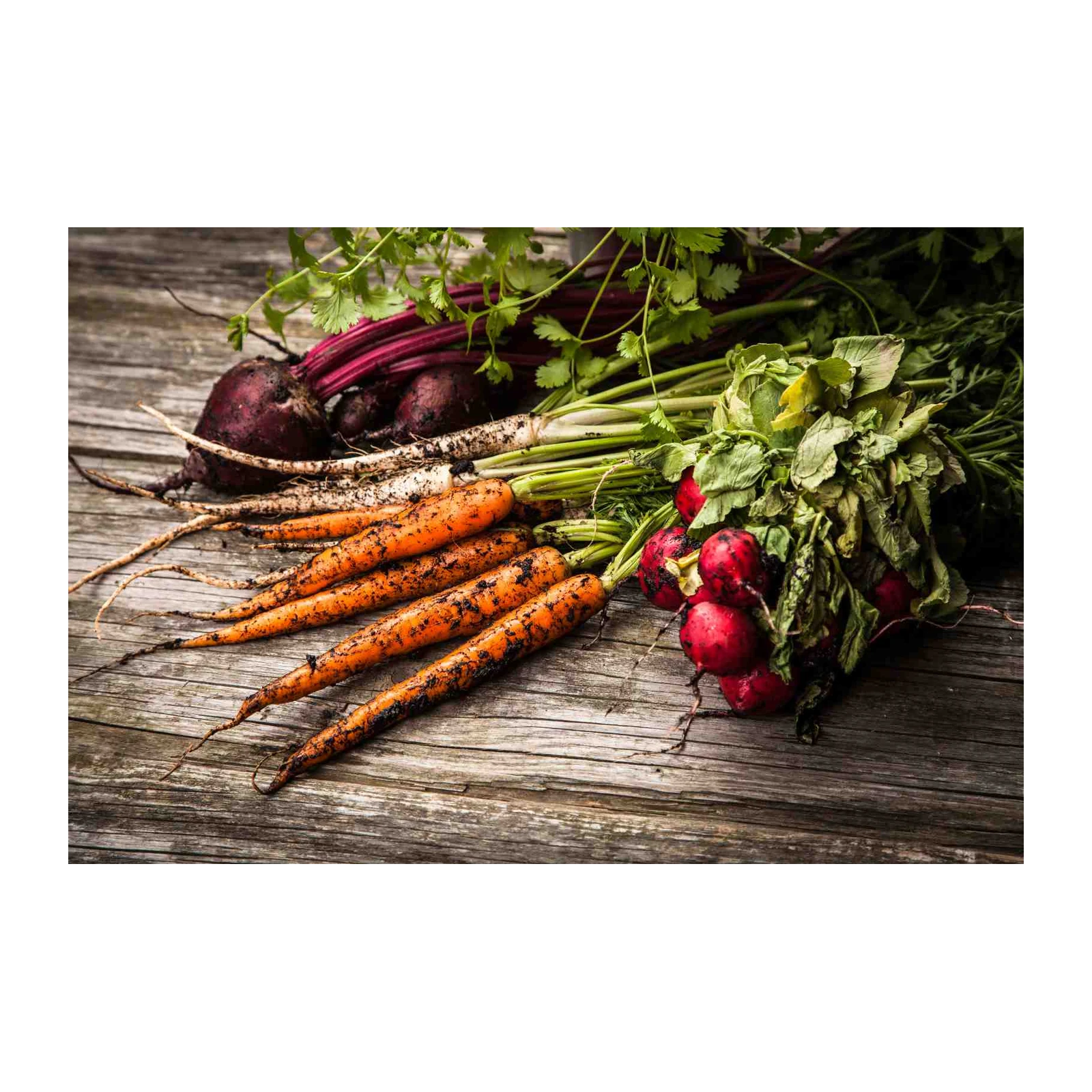 Farm Fresh Veggies Rustic Wall Art