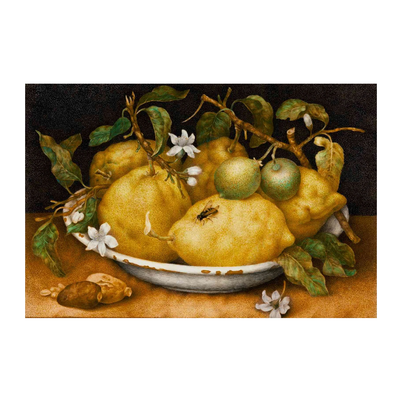 Vibrant Lemon Still Life Wall Art
