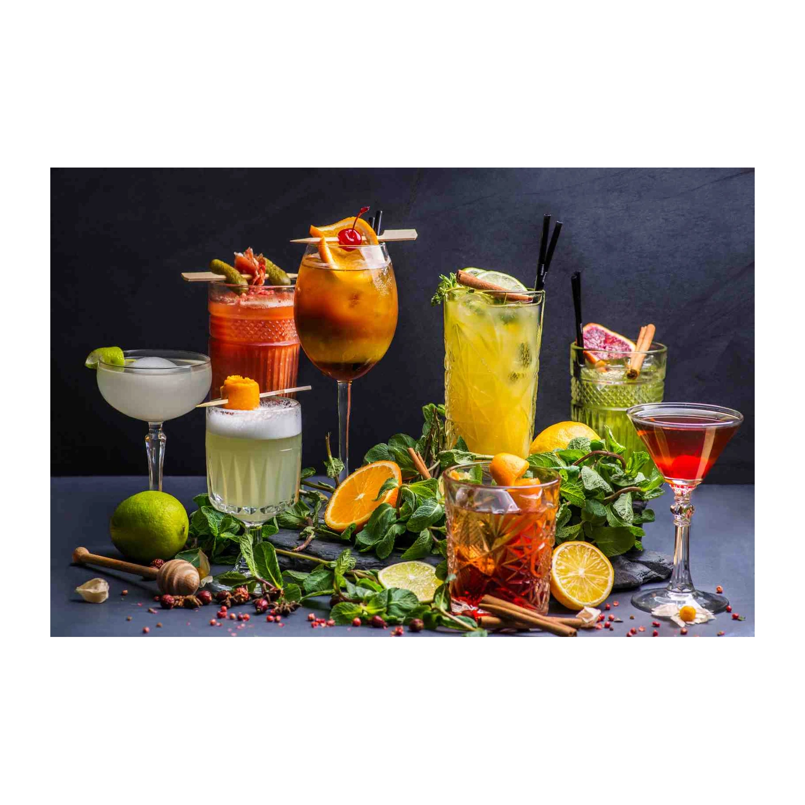 Cocktail Creations Vibrant Drinks Wall Art