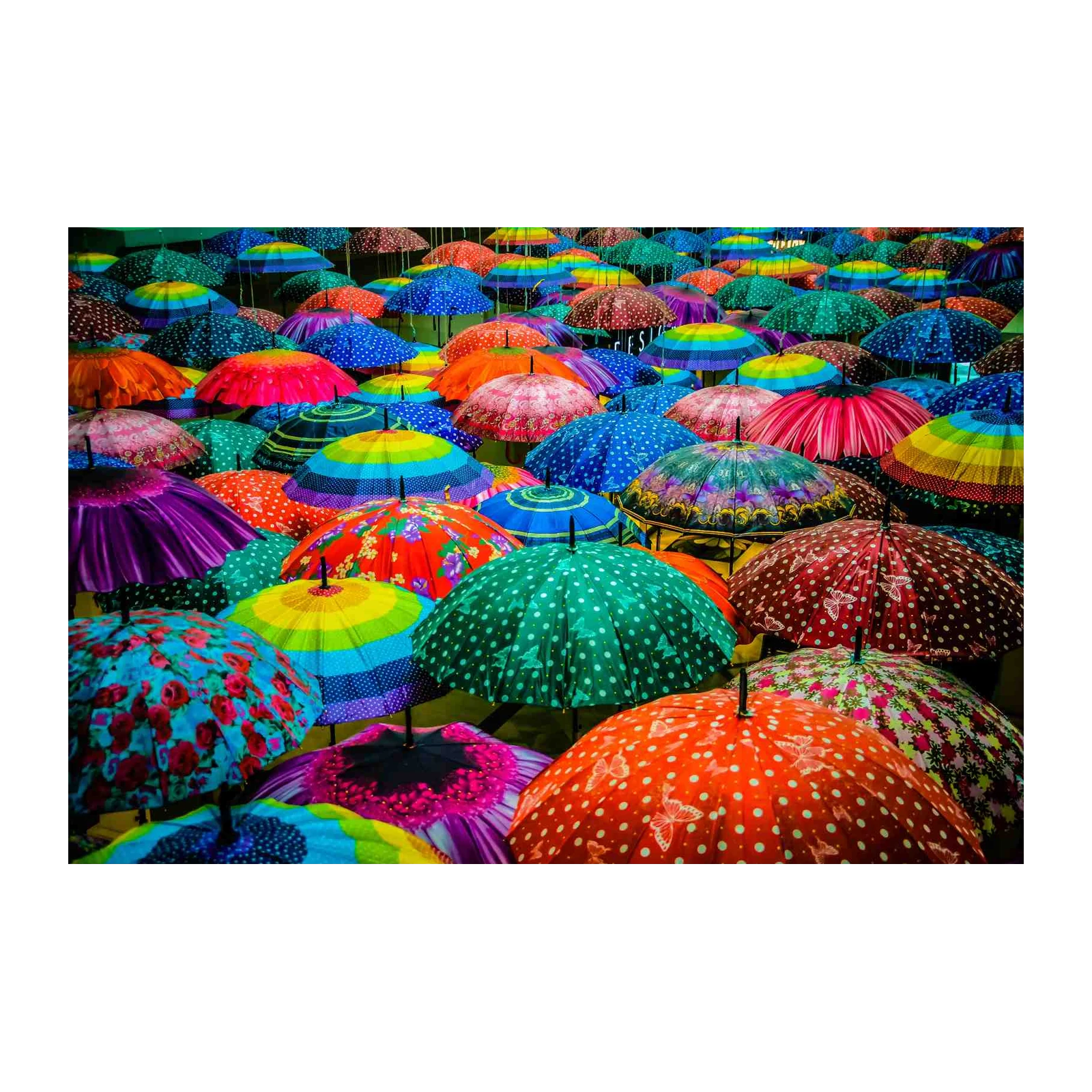 Vibrant Umbrella Canopy Wall Art - Boho Wall Art