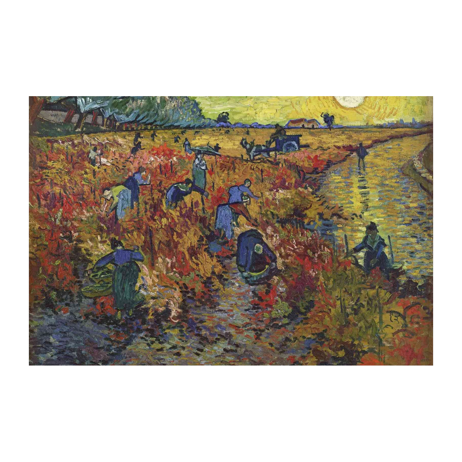 Van Gogh Vineyard Harvest Impressionist Wall Art