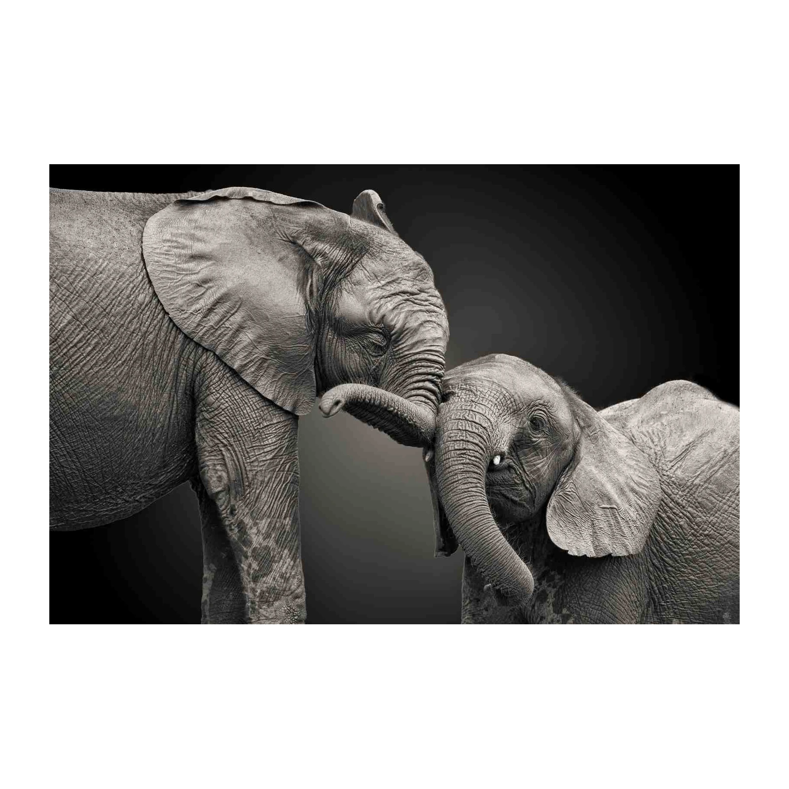 Tender Embrace Elephant Family Wall Art
