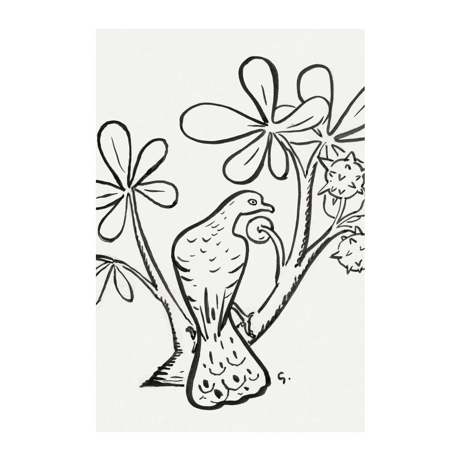 Elegant Bird & Flora Line Art Wall Art