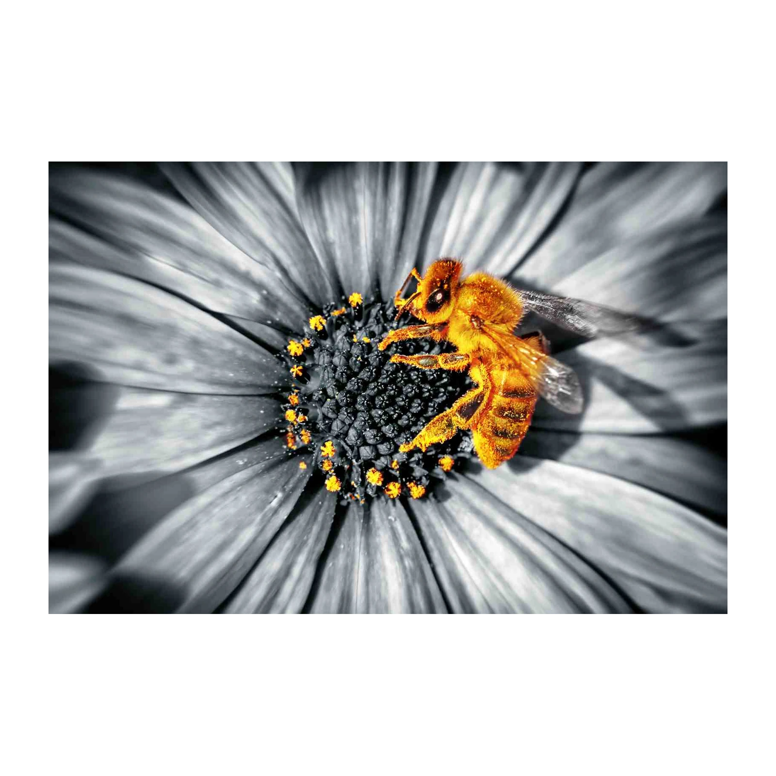 Vibrant Bee on Flower Abstract Wall Art