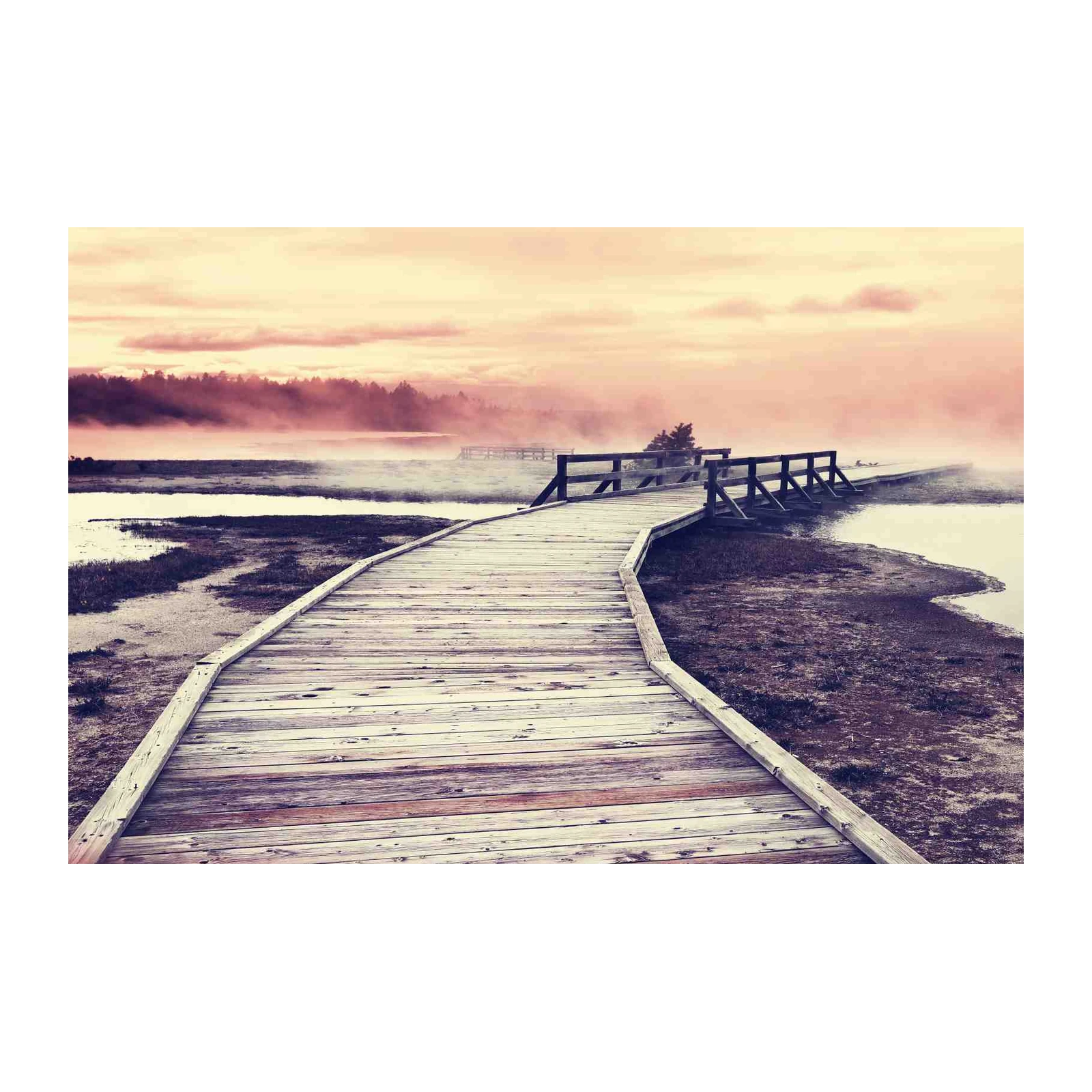 Misty Boardwalk Path Wall Art