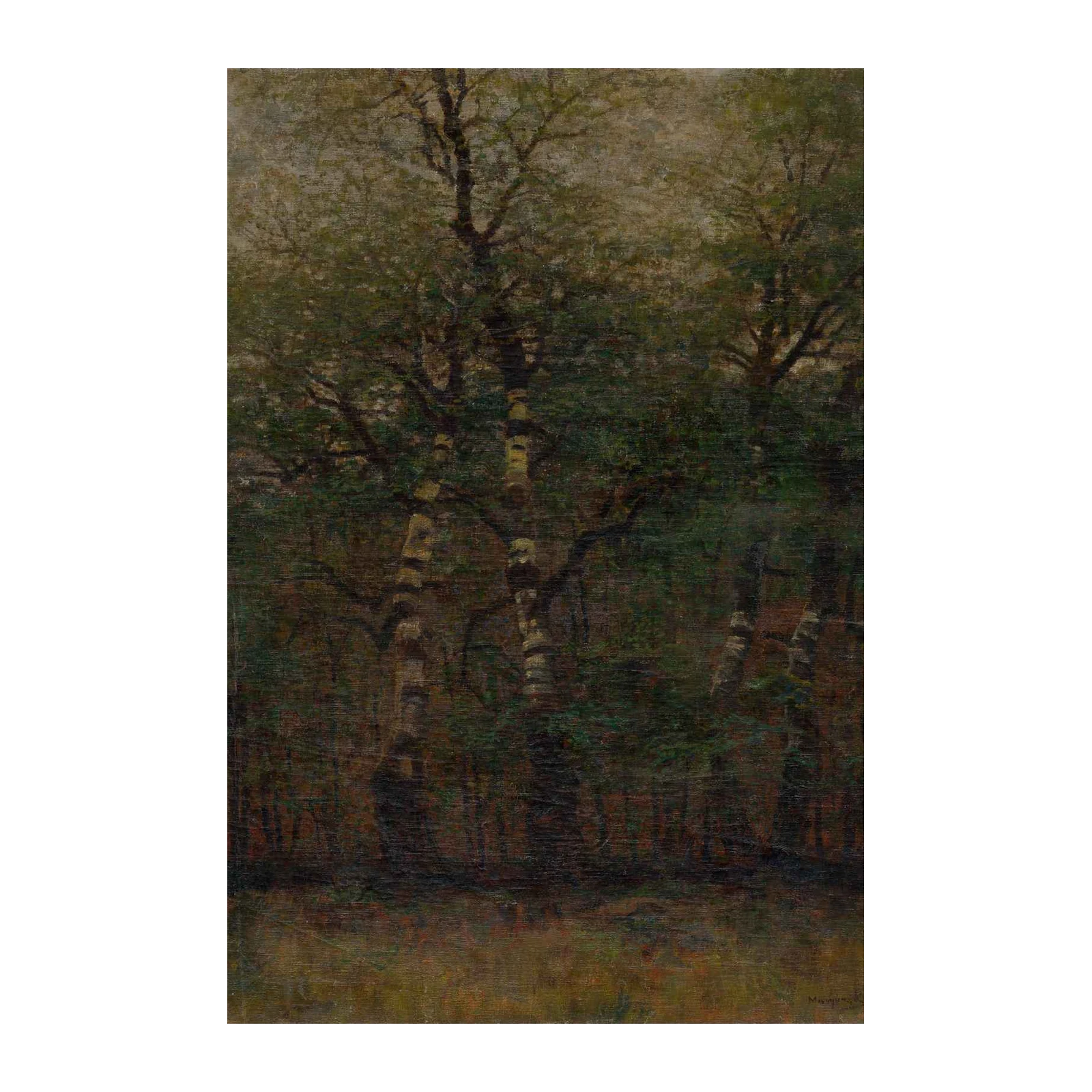 Enchanting Forest Birch Trees Wall Art