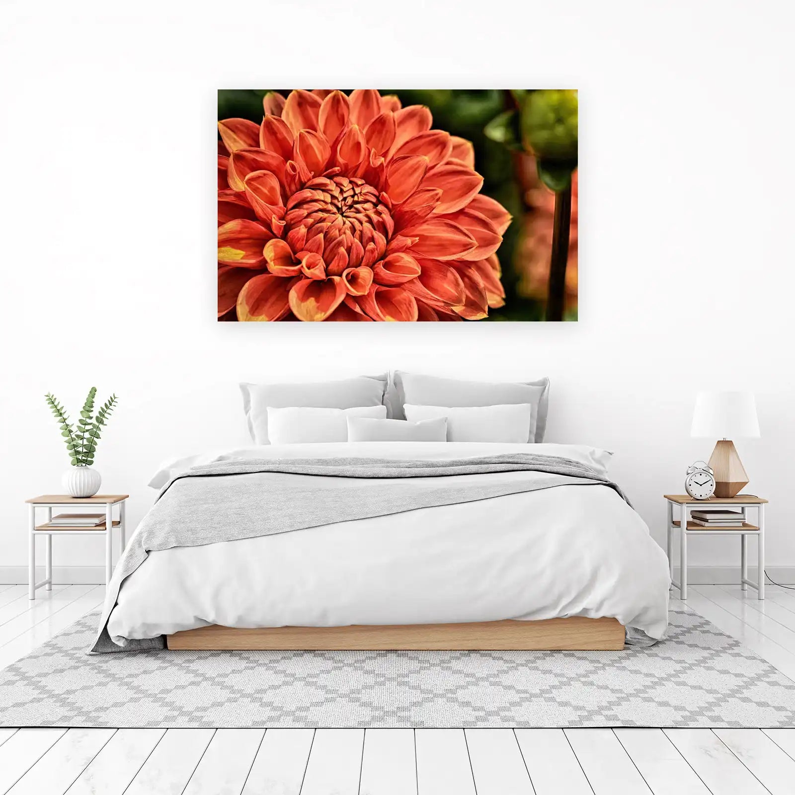 Vibrant Coral Dahlia Close-Up Wall Art
