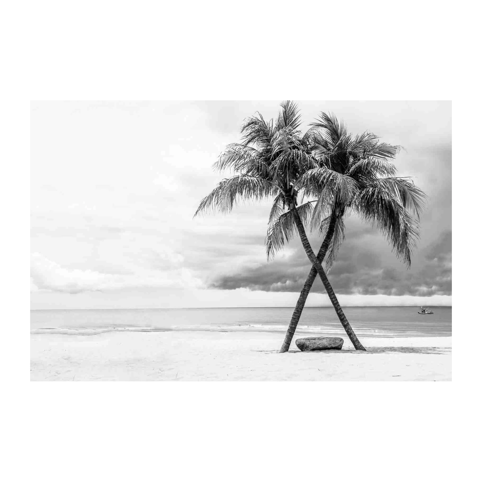 Serene Palm Beach Landscape Wall Art