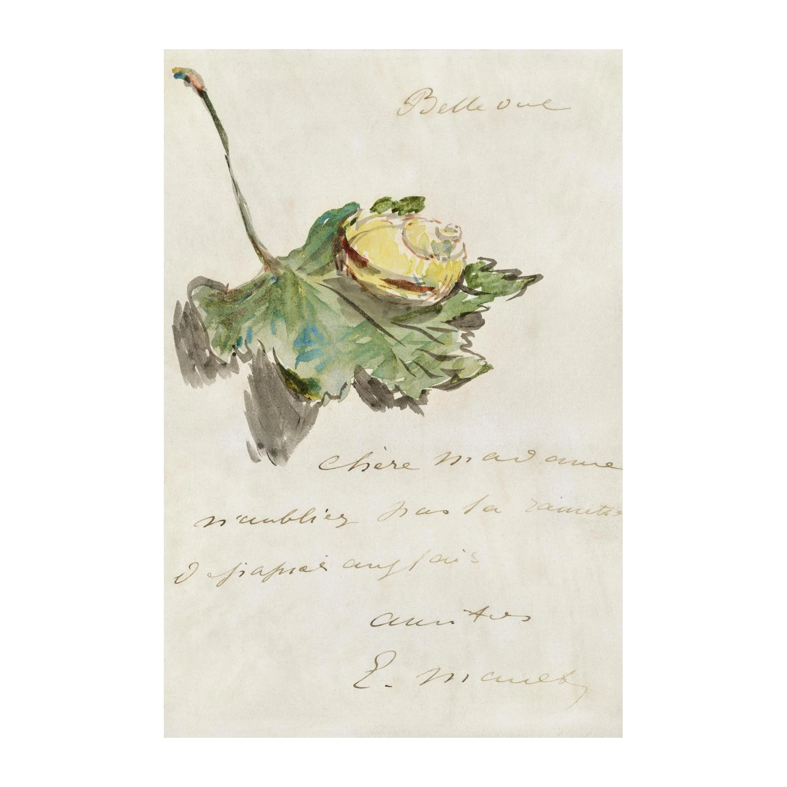 Elegant Rose Watercolor "Belle Vue" Wall Art