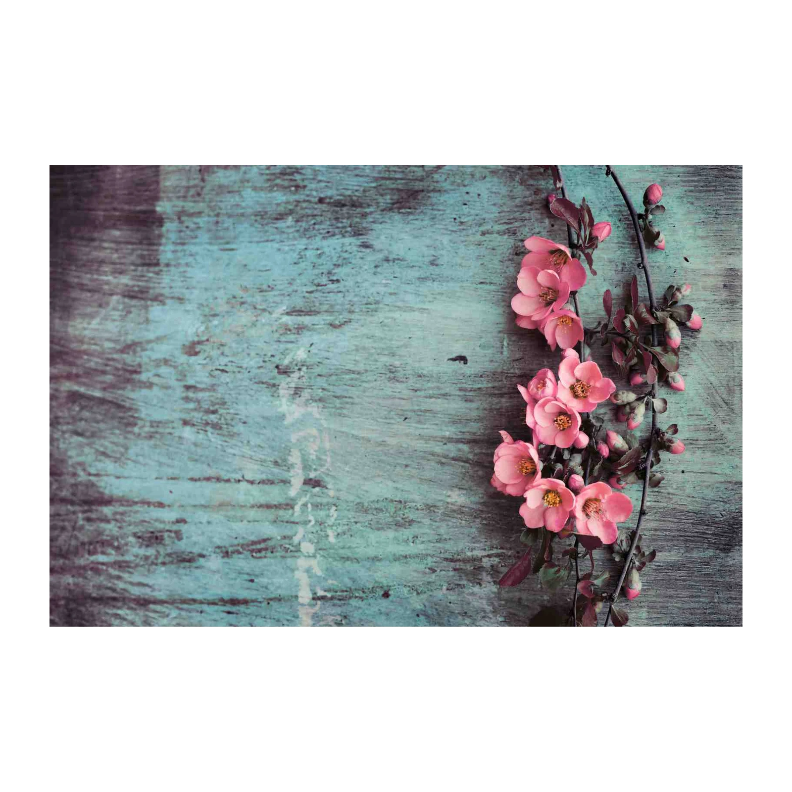 Vintage Pink Blossom Against Teal Wood Wall Art