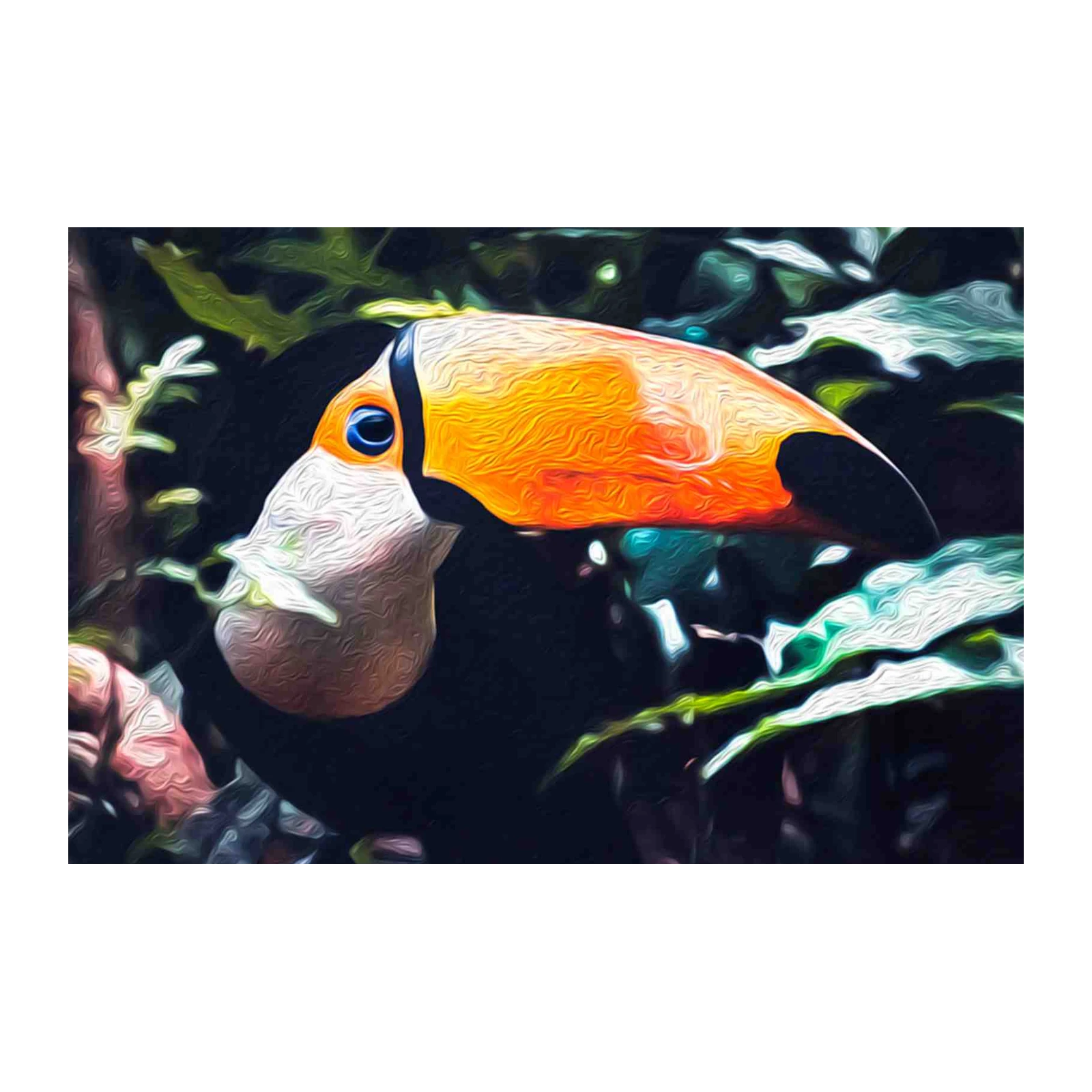 Vibrant Toucan Jungle Scene Wall Art