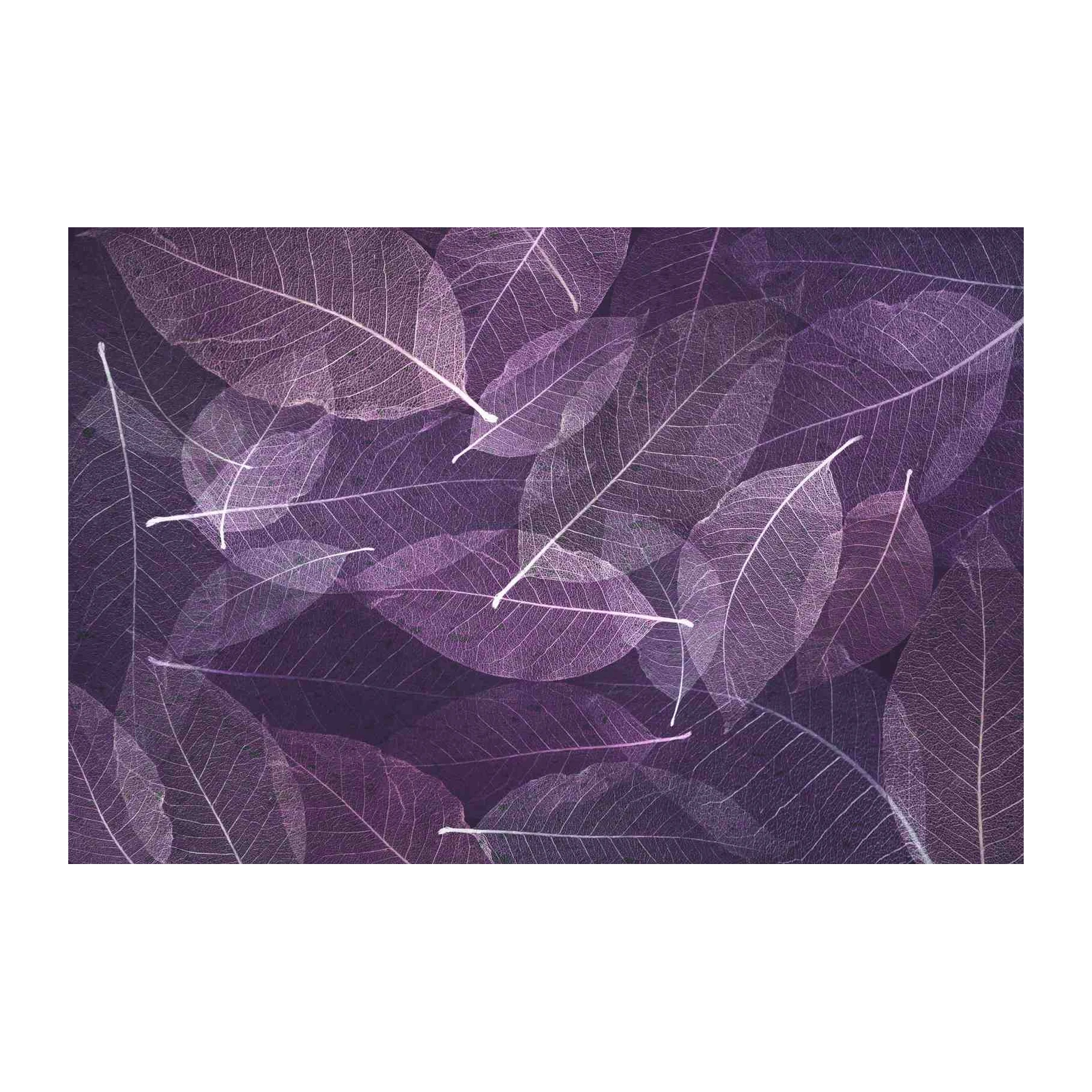 Purple Skeleton Leaves Wall Art