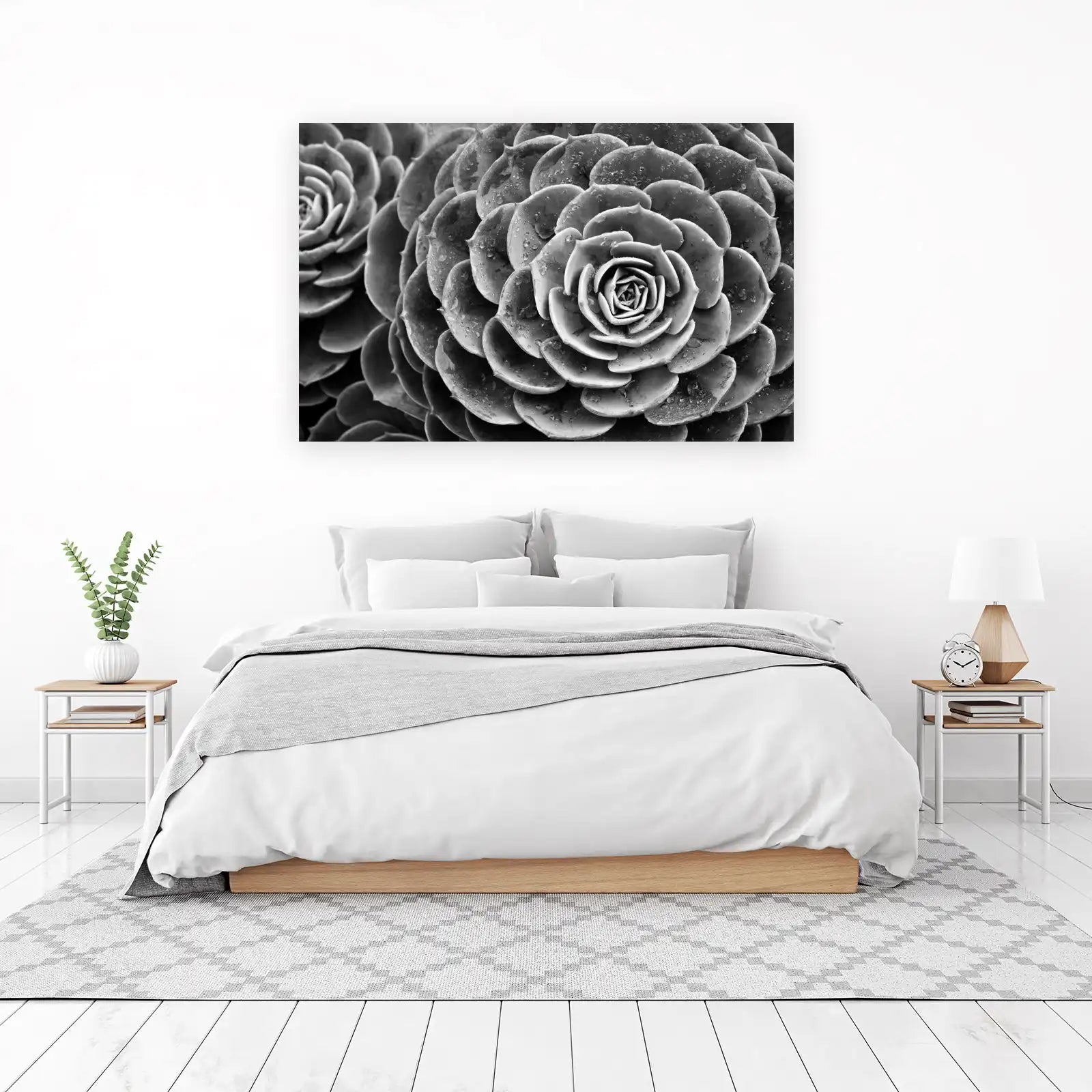 Monochromatic Succulent Macro Wall Art