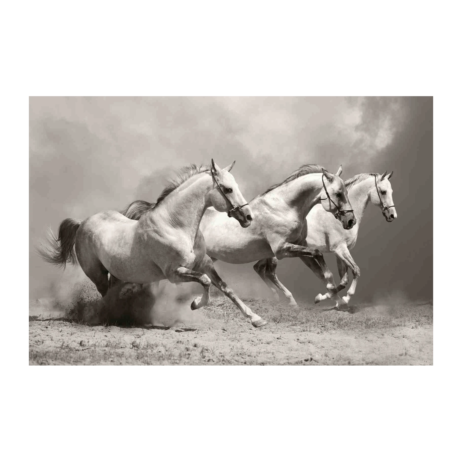 Majestic Trio Galloping Horses Wall Art