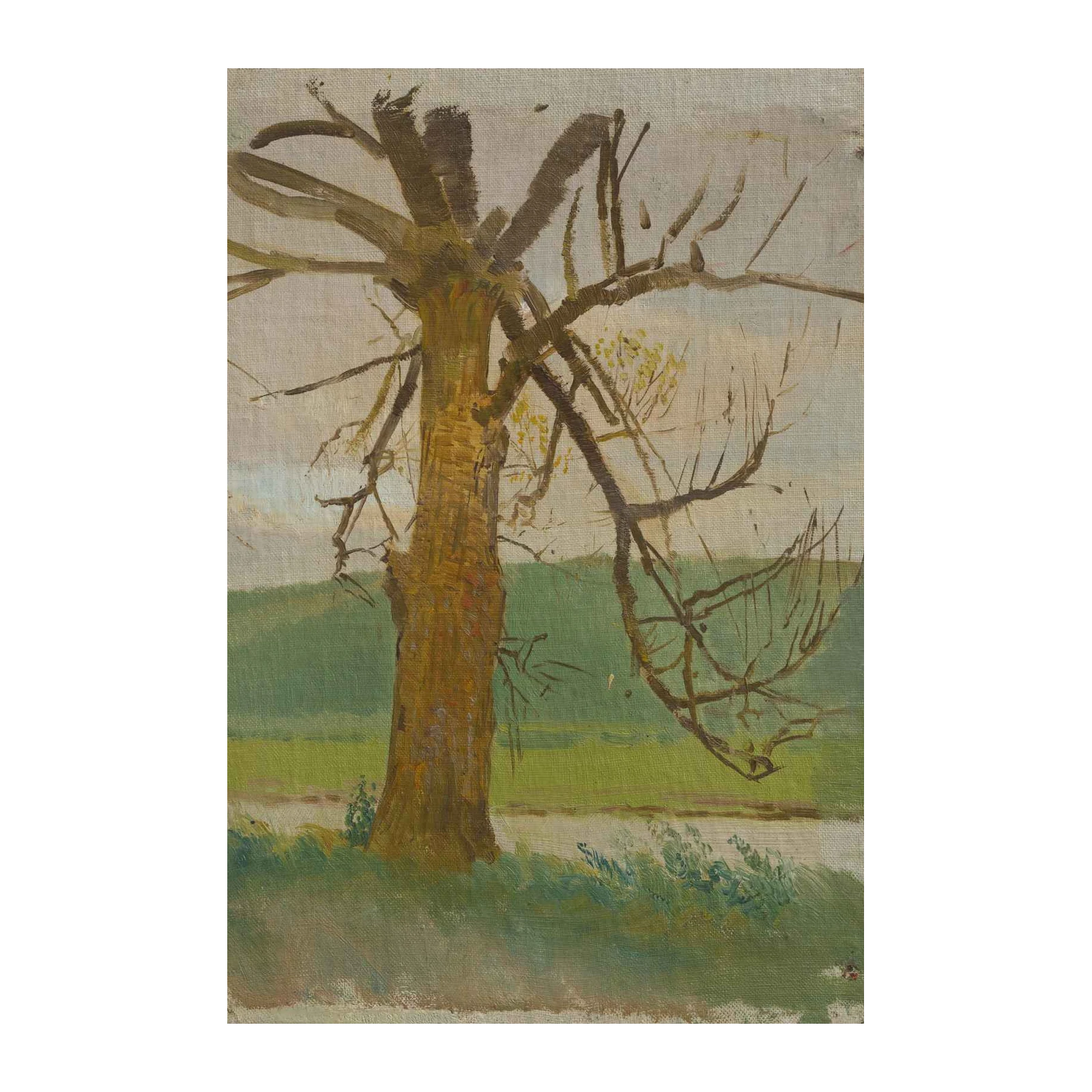 Earthy Bare Tree Landscape Wall Art