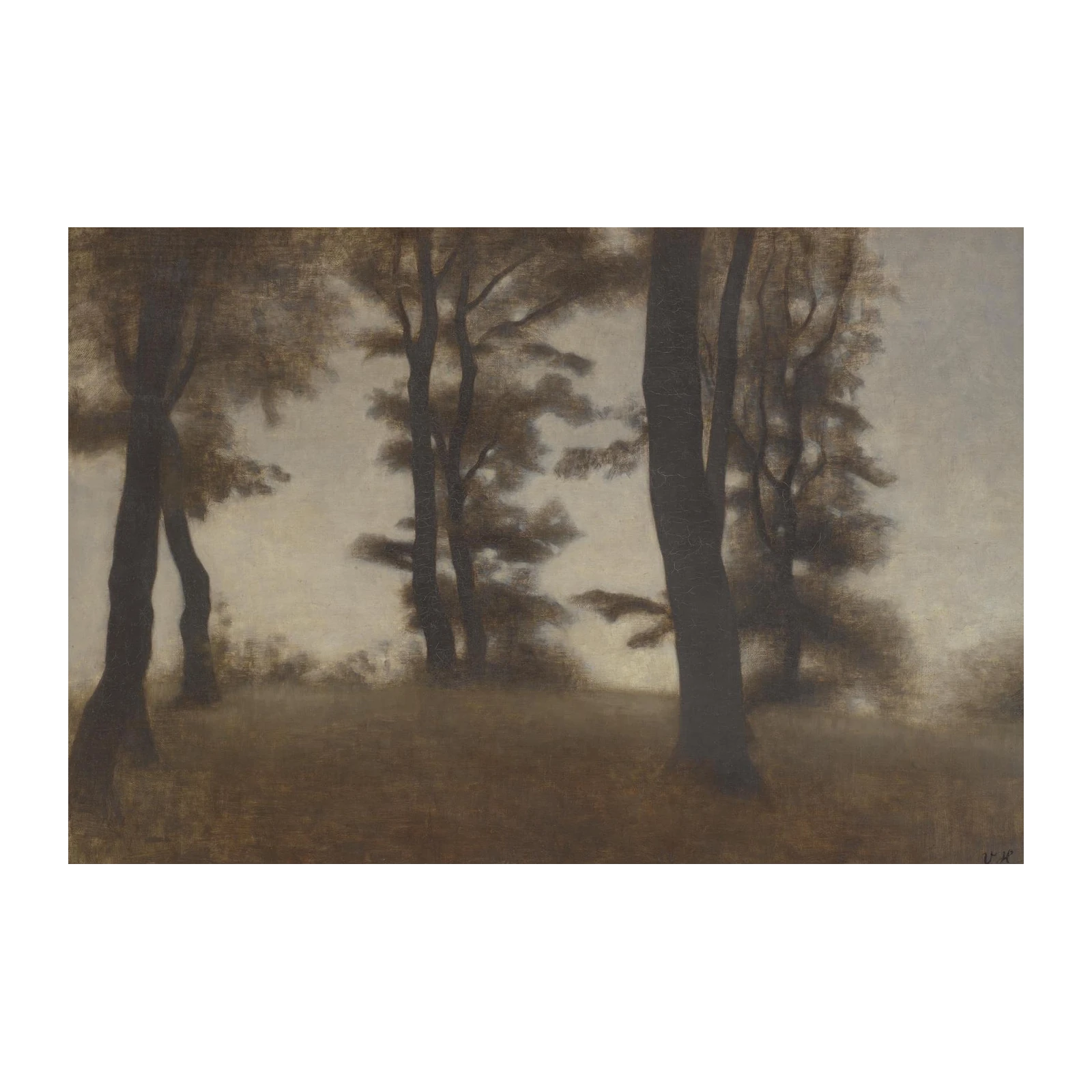 Serene Forest Landscape Wall Art