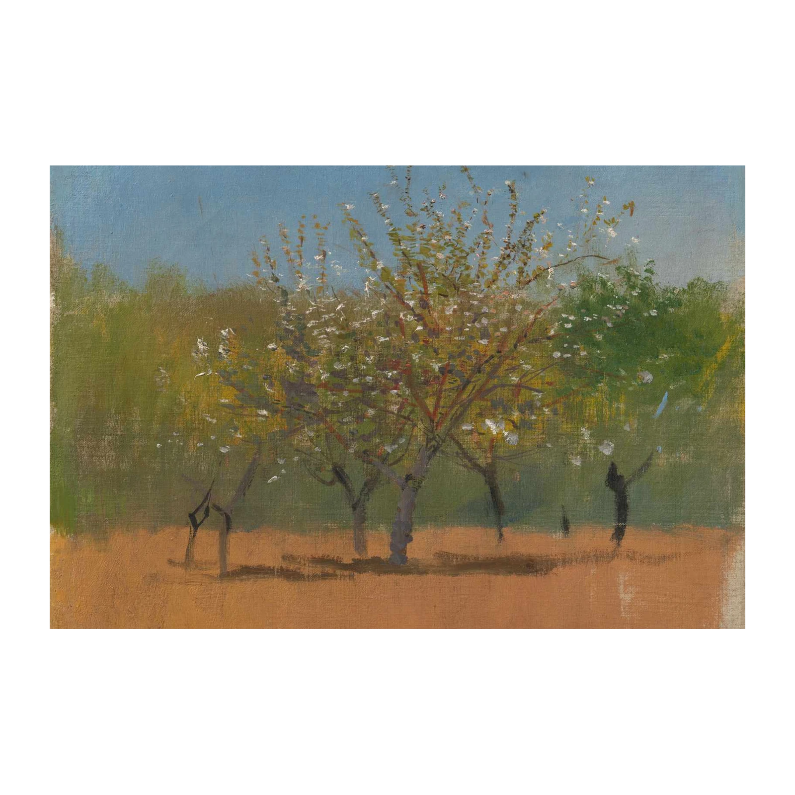 Spring Blossom Trees Wall Art - Fine Art Nature Decor