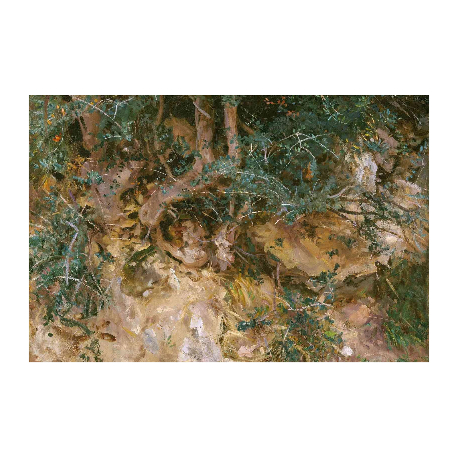 Enchanting Forest Grove Wall Art Wall Art