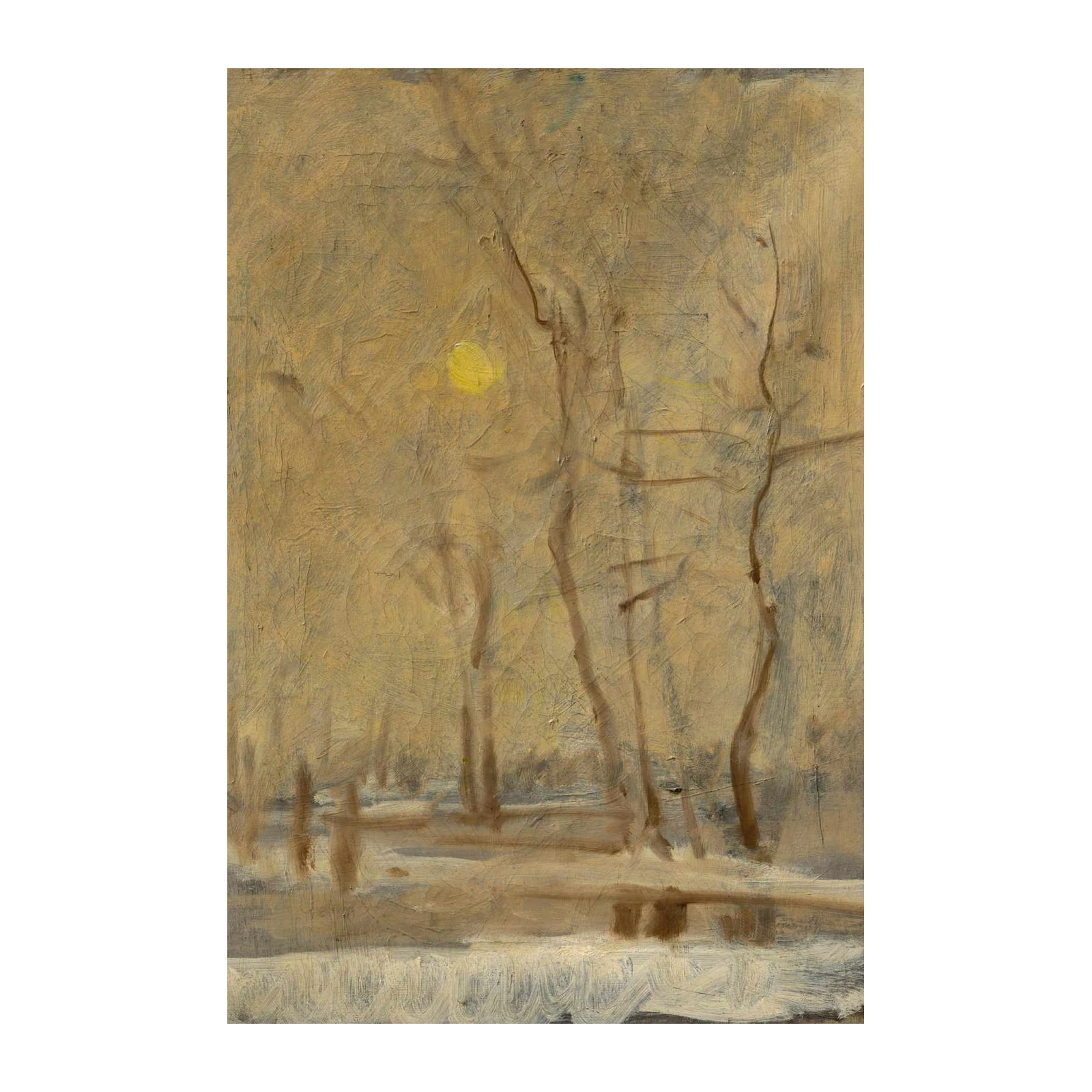 Misty Winter Trees Golden Light Wall Art
