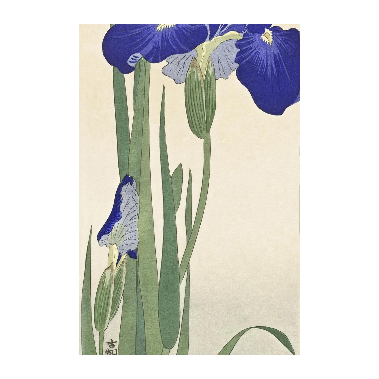 Vibrant Blue Iris Floral Japanese Art Wall Art