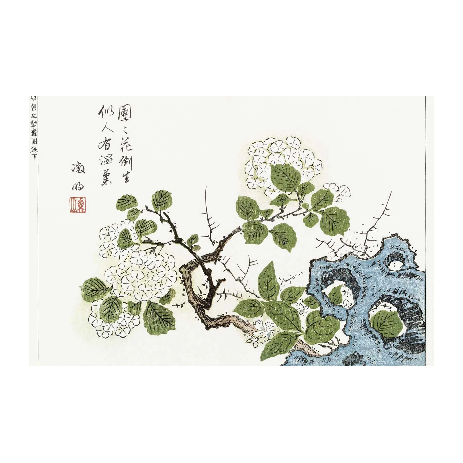 Japanese Hydrangea & Rock Wall Art