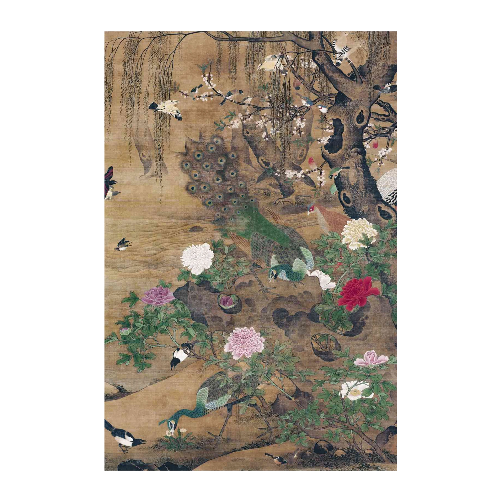 Majestic Peacock & Birds Traditional Art Wall Art