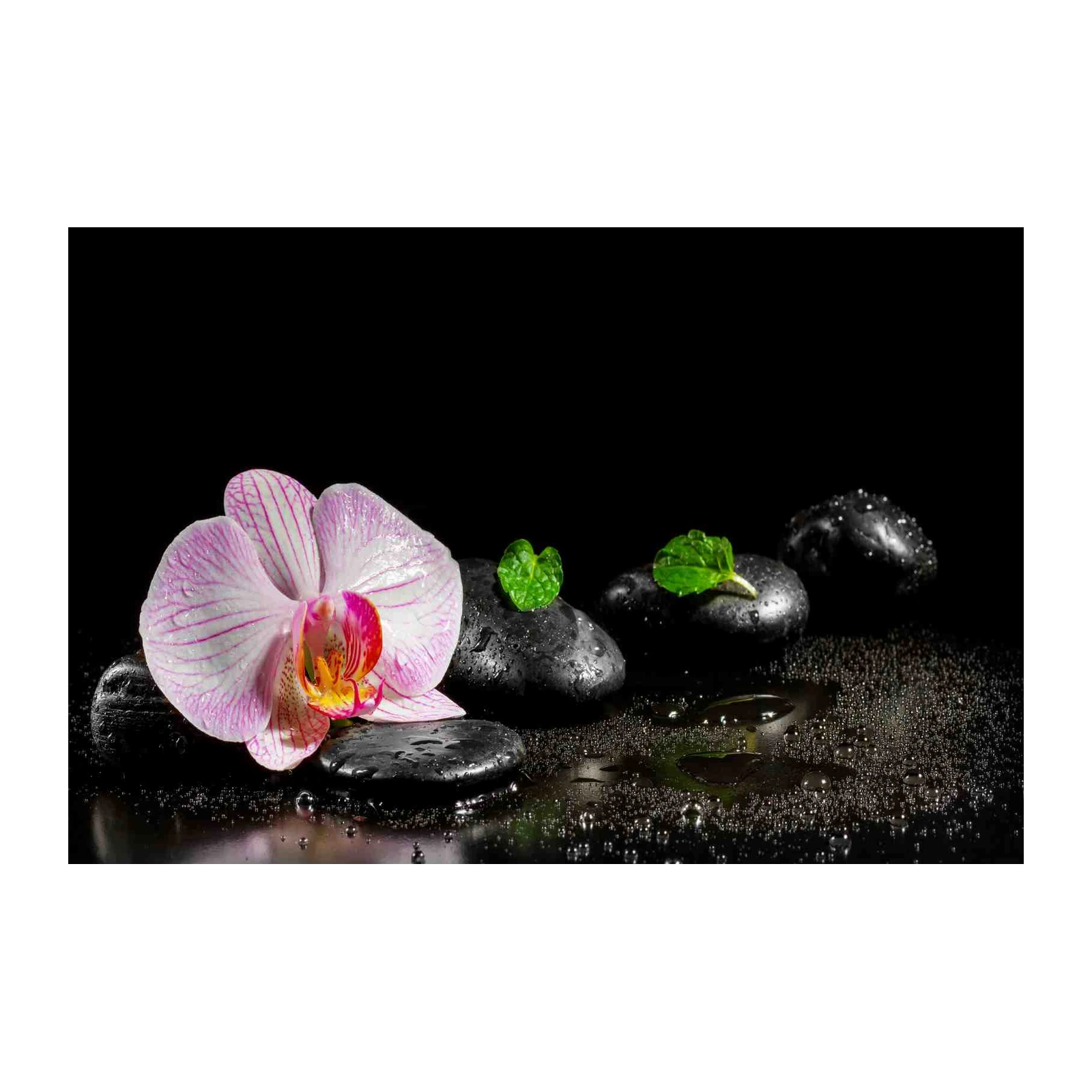 Zen Orchid & Stone Serenity Wall Art
