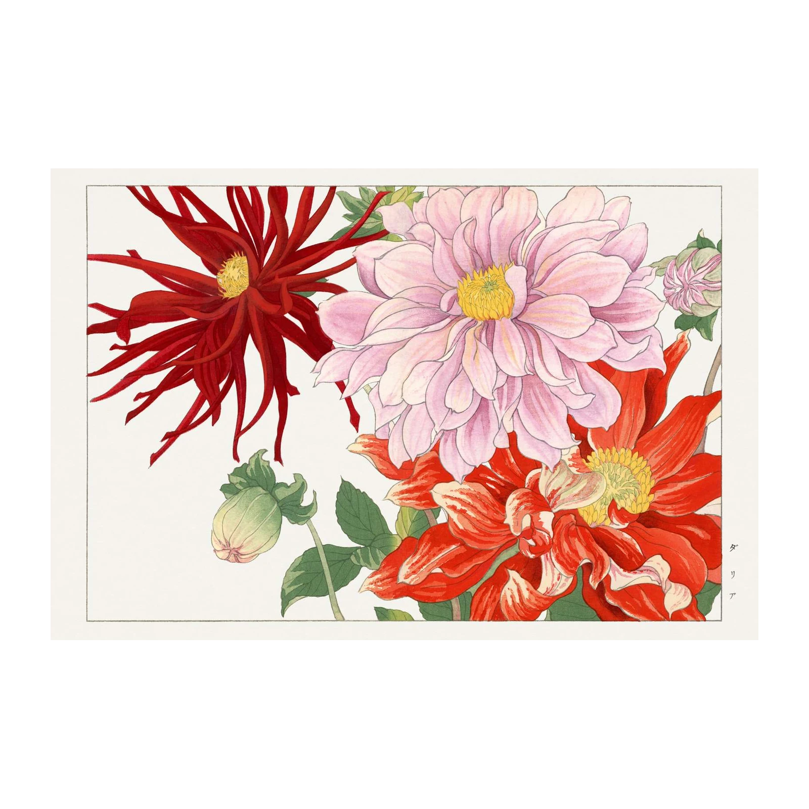 Vibrant Floral Dahlia Bouquet Wall Art