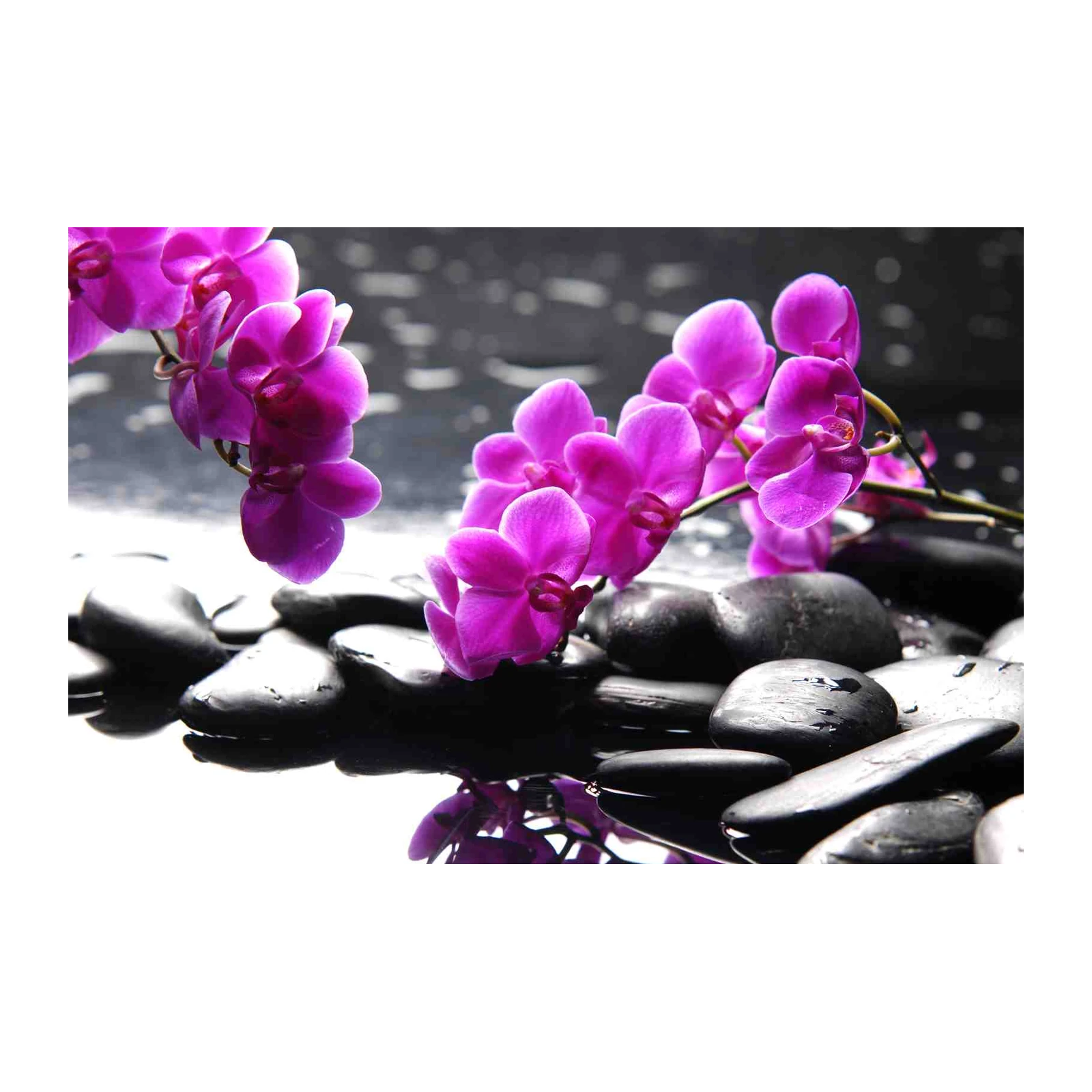 Serene Orchid & Zen Stones Wall Art