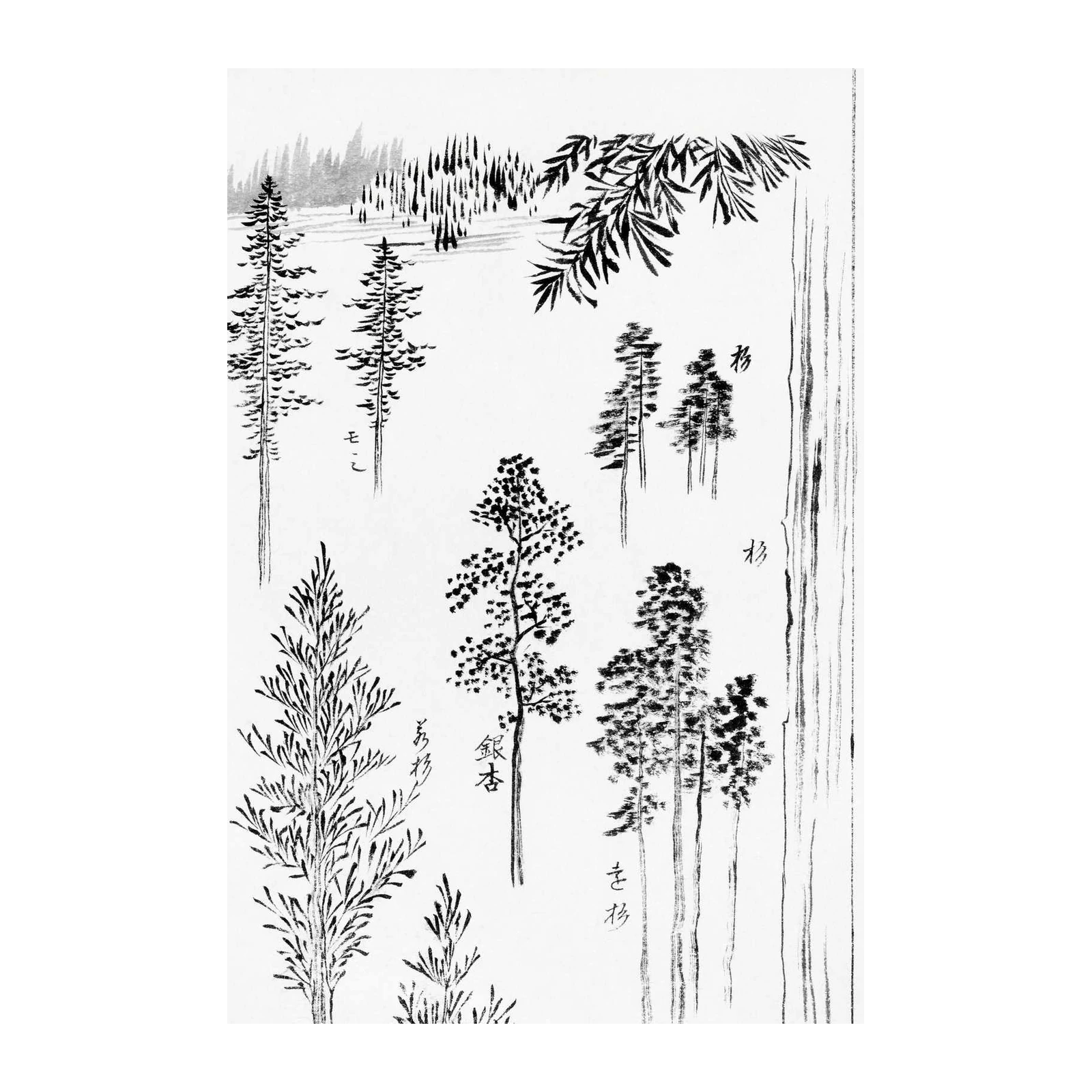 Serene Forest Trees Ink Wash Wall Art