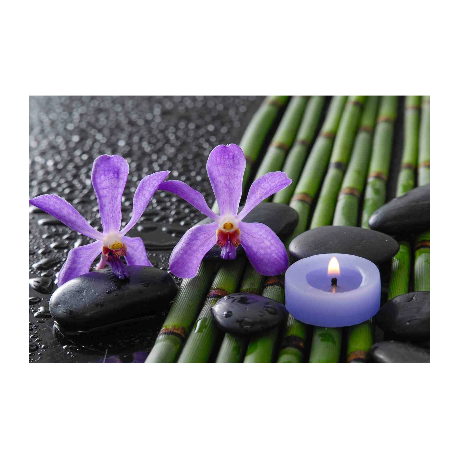 Serene Purple Orchid & Bamboo Wall Art