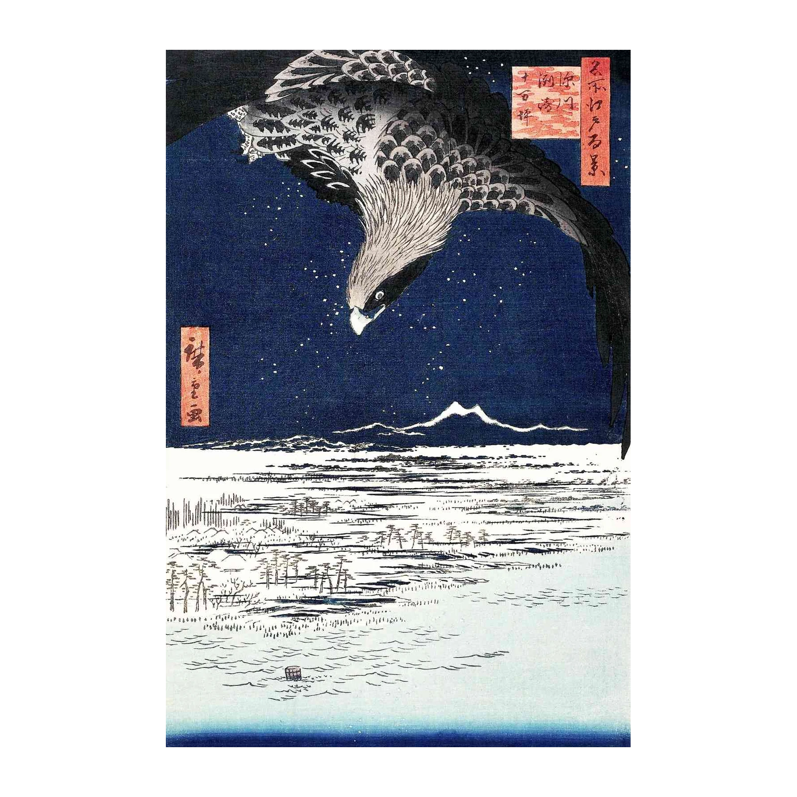 Majestic Hawk Over Starry Night Wall Art