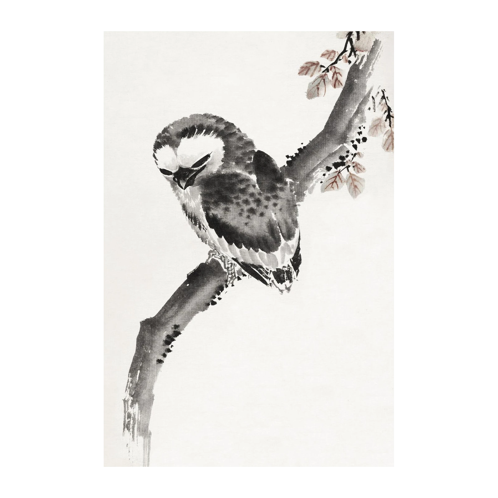 Serene Owl on Branch Wall Art