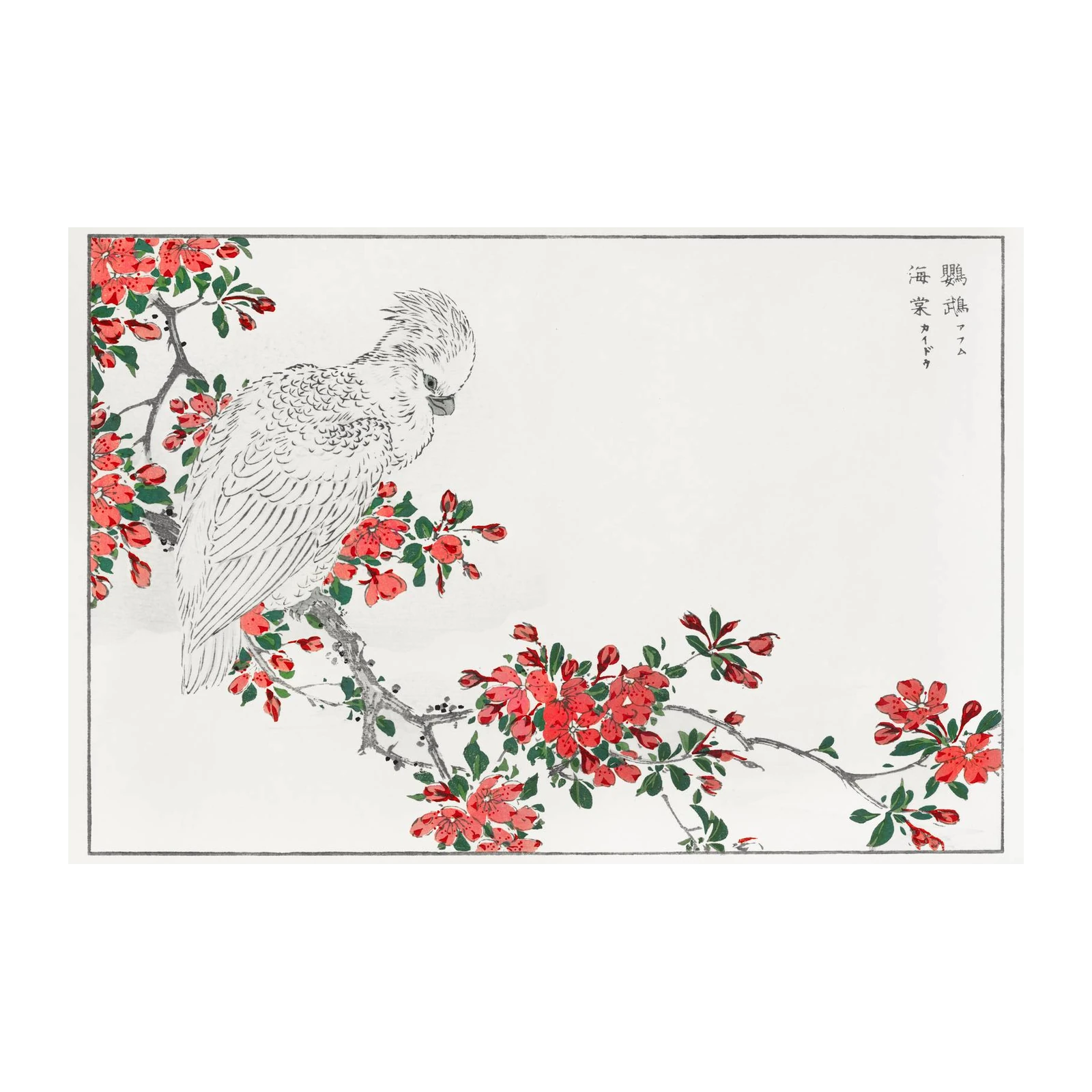 Elegant Cockatoo & Cherry Blossom Wall Art