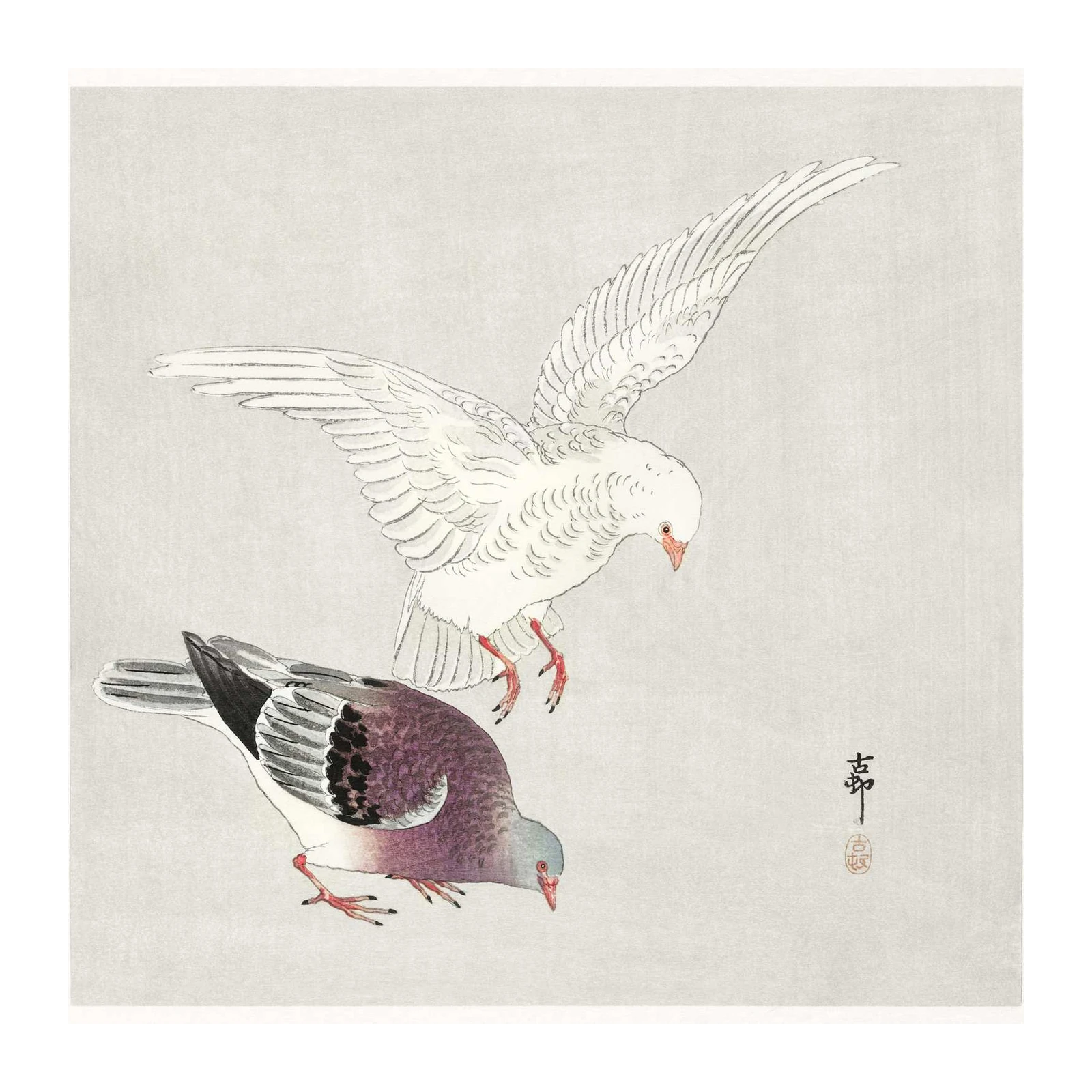 Serene Pigeons Landing Wall Art