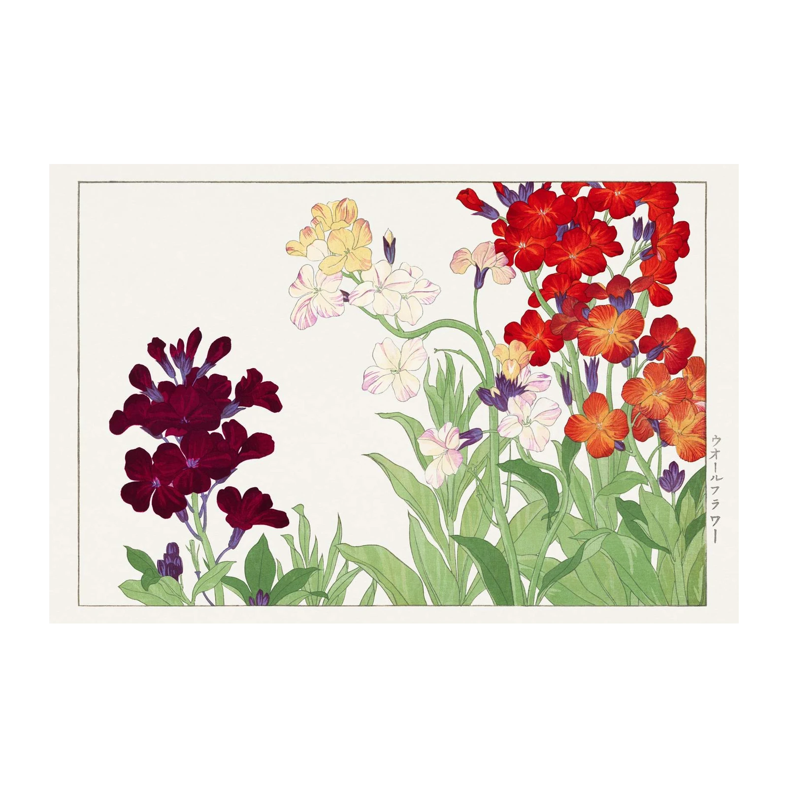 Vibrant Floral Wallflower Wall Art