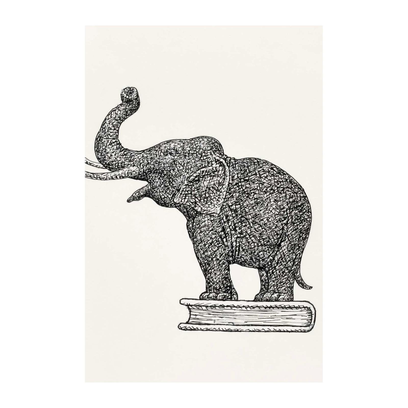 Majestic Elephant on Book Wall Art