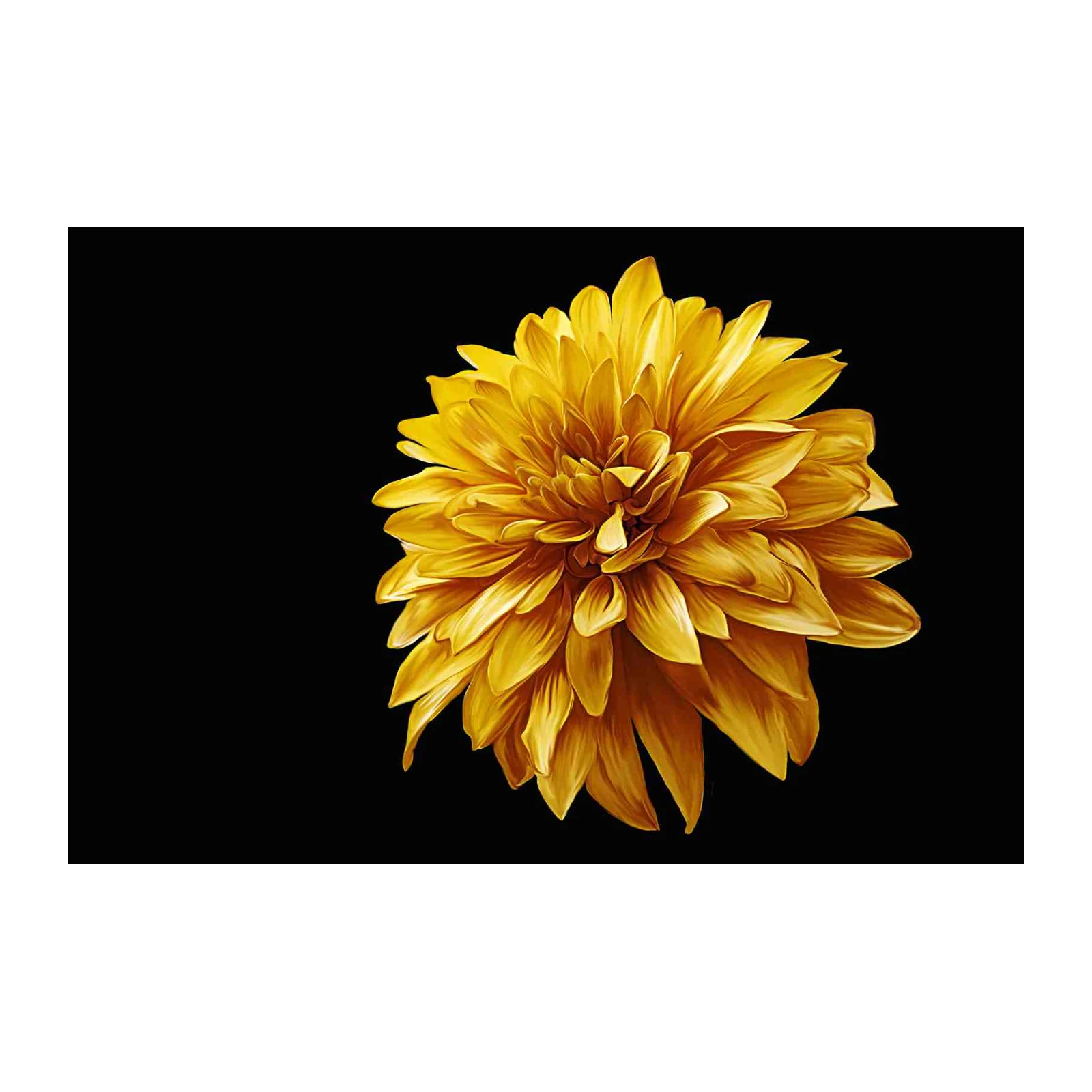 Golden Dahlia Burst Botanical Wall Art