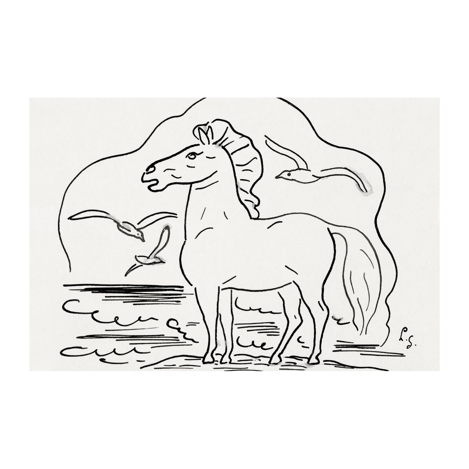 Graceful Horse & Birds Minimalist Line Art Wall Art