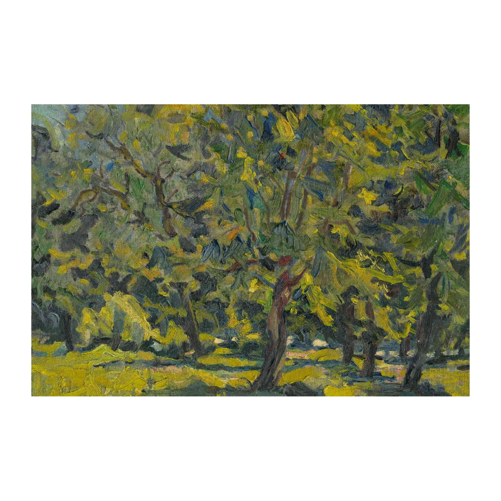 Impressionist Grove Sunny Landscape Wall Art