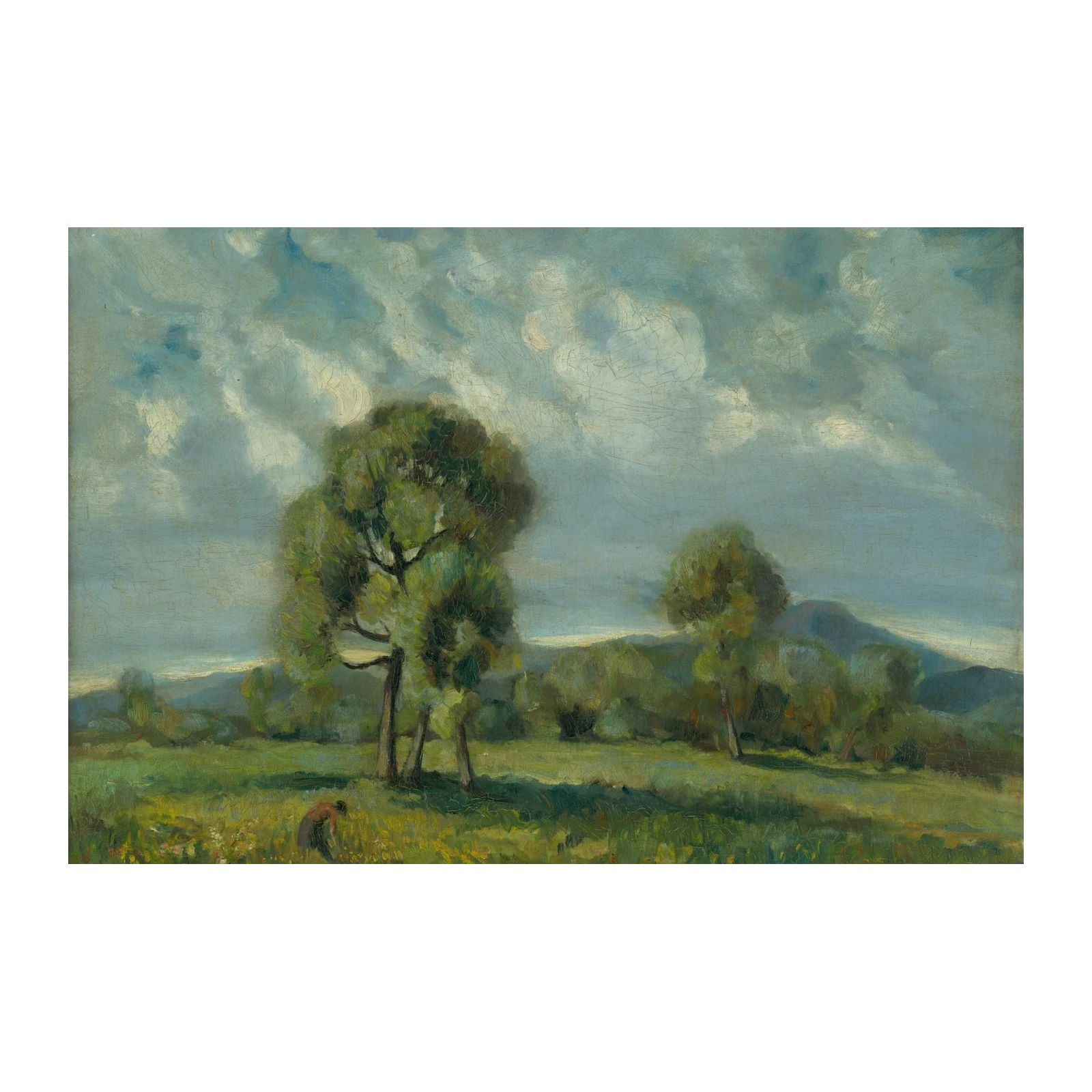 Tranquil Landscape Field & Trees Wall Art